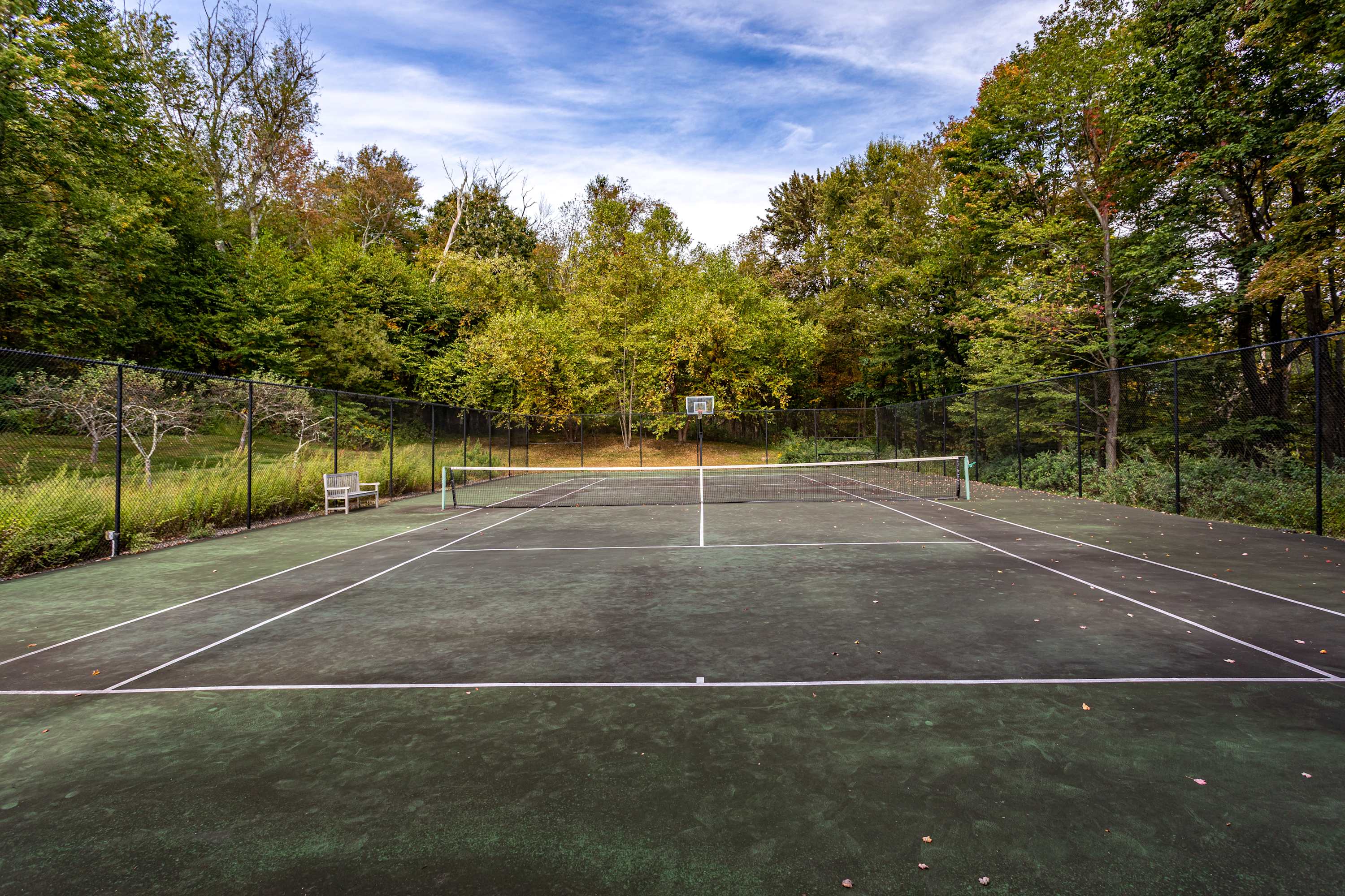 A well-maintained outdoor tennis court with a dark green surface and white lines is enclosed by a black fence, surrounded by a dense forest of mature green and autumn-colored trees under a bright, clear sky. A basketball hoop is attached to the net post.