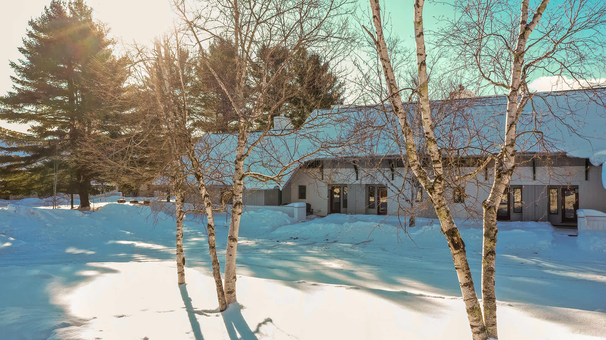 The side of a modern white building with multiple windows and glass doors is partially visible through several bare birch trees, all set against a bright, snowy landscape. The roof is heavily laden with snow, and evergreen trees stand in the background.