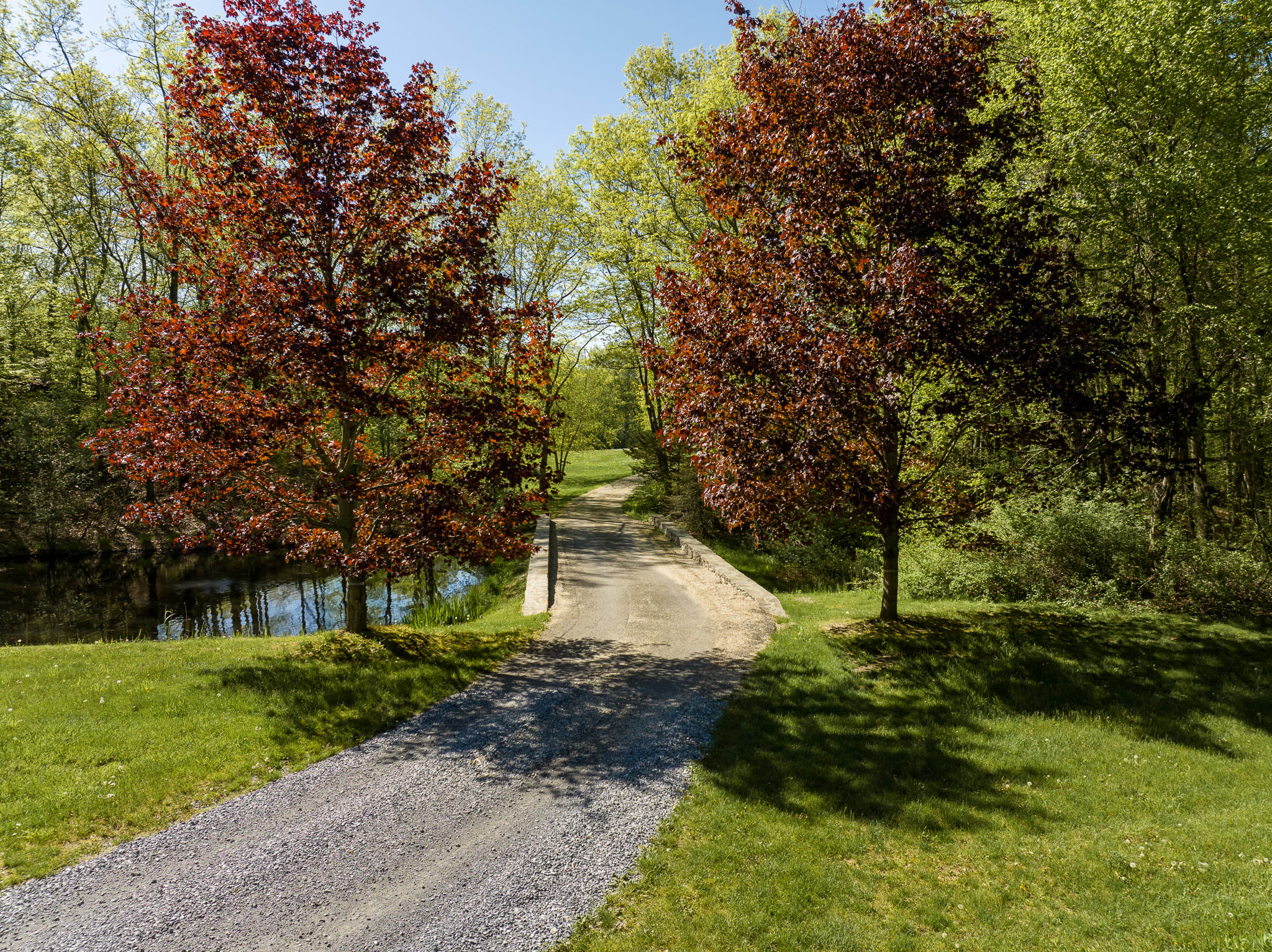 A gravel and paved road crosses a small bridge over a body of water, flanked by two vibrant red-leafed trees and surrounded by lush green grass and dense forest. The scene suggests a scenic entrance or pathway within a large estate.