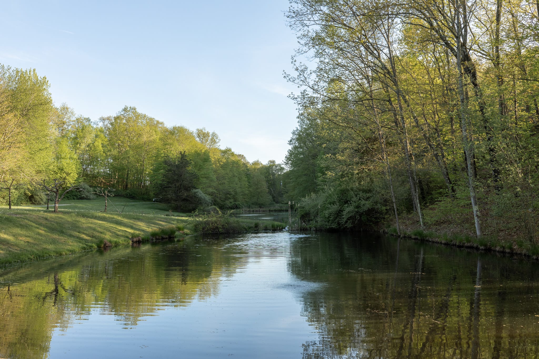 A tranquil pond or lake is surrounded by a lush green landscape with numerous trees, some showing early spring foliage. The calm water reflects the sky and trees, creating a picturesque natural scene under a bright, clear sky.
