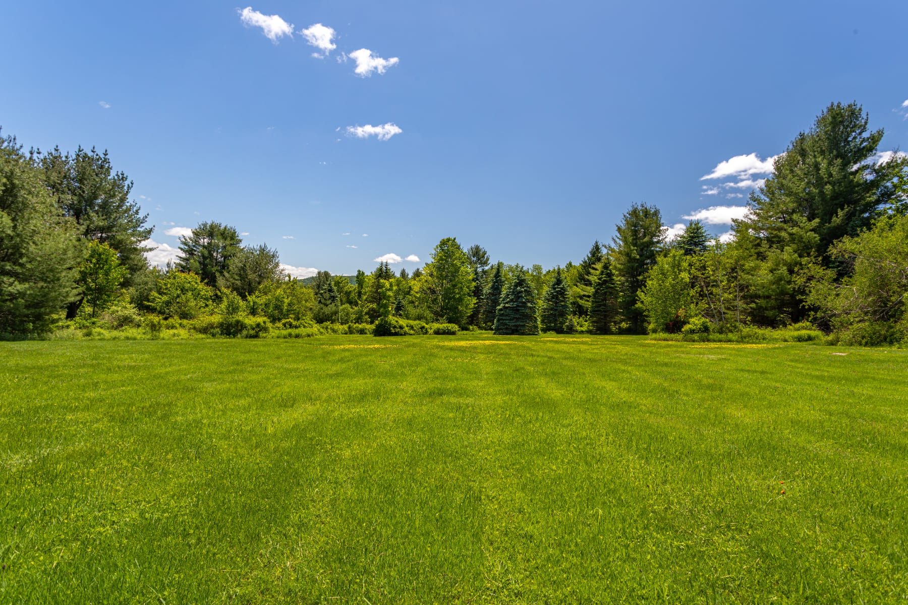 An expansive, vibrant green lawn stretches towards a dense line of various trees and foliage under a clear blue sky with scattered white clouds. The landscape suggests a private and serene outdoor space.