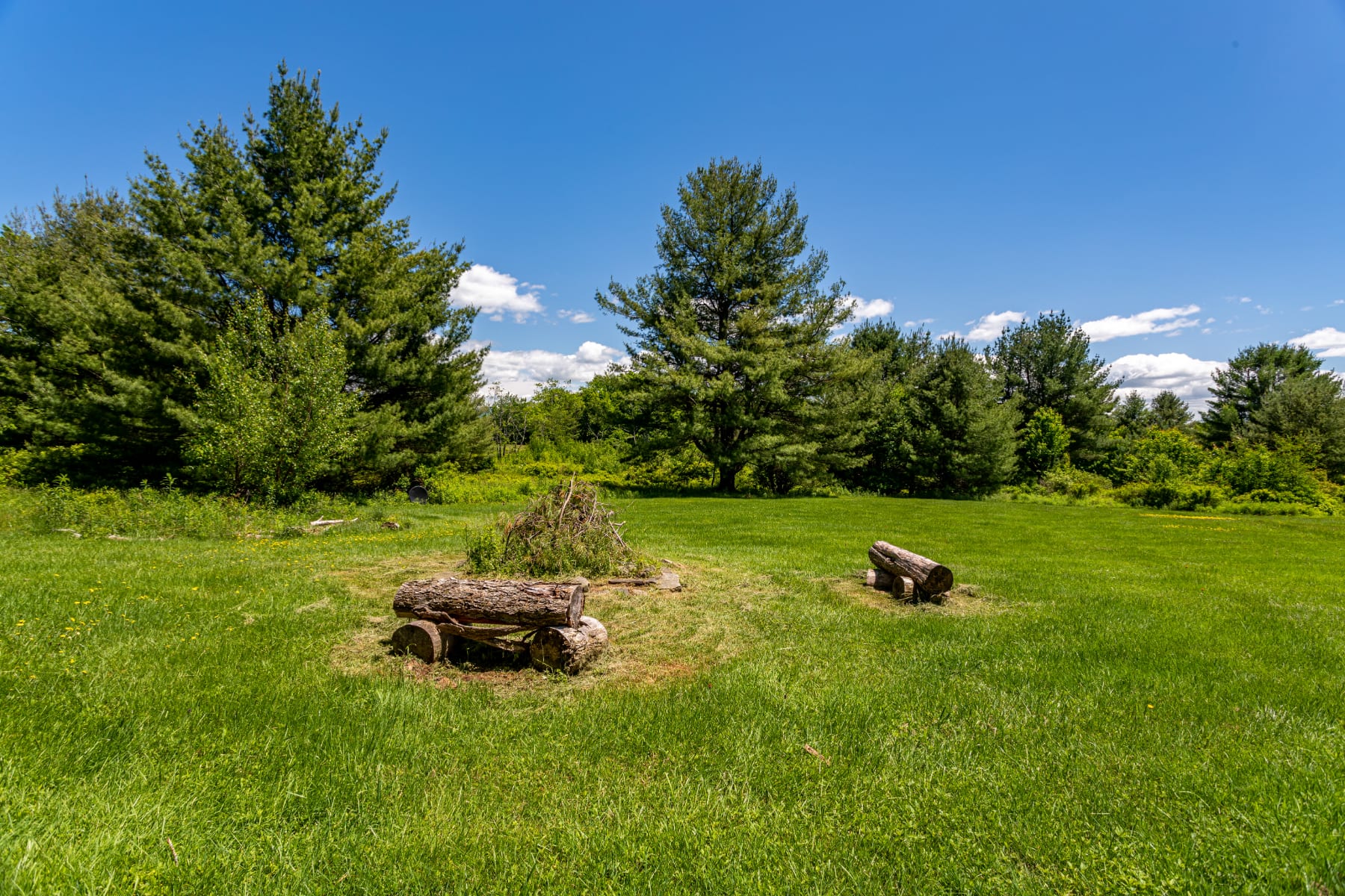A rustic outdoor fire pit area is set in a wide, grassy field, featuring logs arranged for seating around a small pile of kindling, surrounded by tall evergreen trees under a clear blue sky.