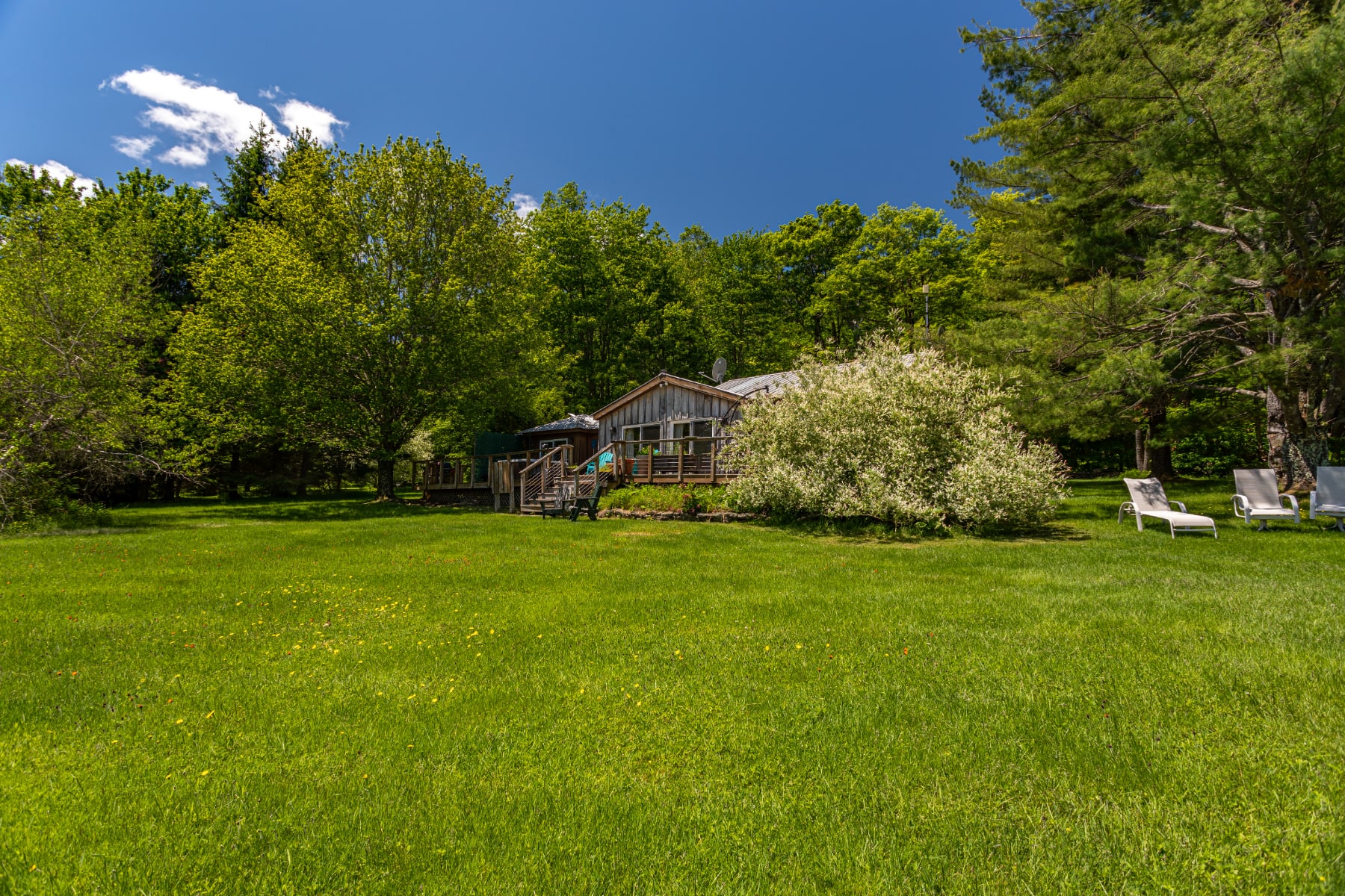 The back of a rustic wooden cabin with a multi-level deck, surrounded by a lush green lawn and mature trees. Outdoor lounge chairs are visible on the grass, suggesting a relaxing outdoor environment.