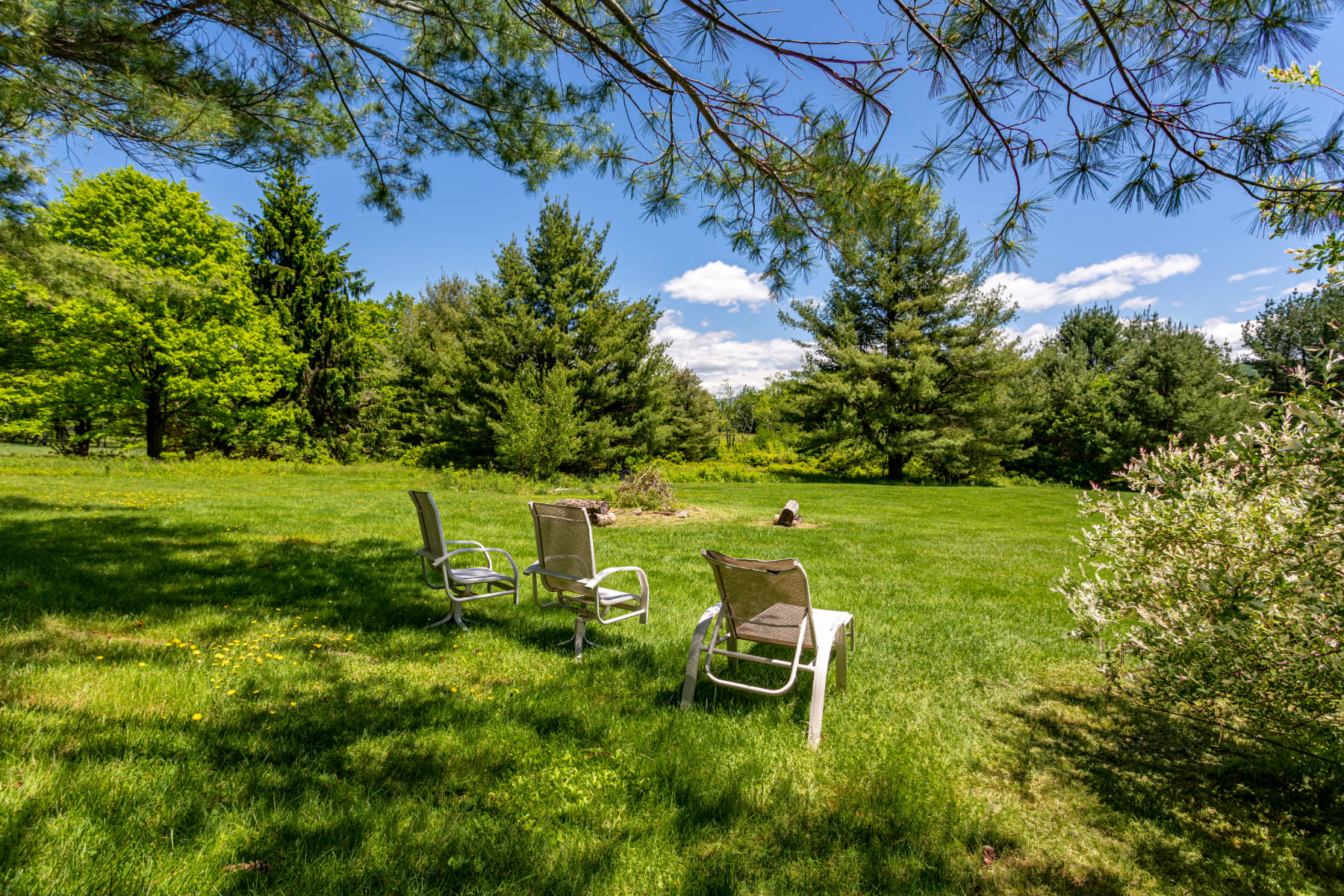 A spacious, well-maintained green lawn with three outdoor chairs arranged in a semi-circle, perfect for relaxing. Tall pine trees and other lush greenery frame the background under a bright blue sky.
