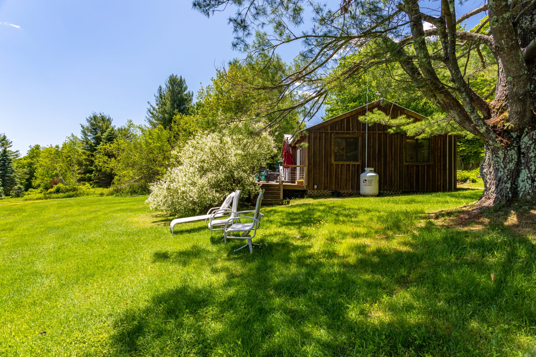 A side view of the rustic wooden cabin, nestled among large trees and a vibrant green lawn. Outdoor lounge chairs are placed in the shade of a tree, and a propane tank is visible near the cabin wall.