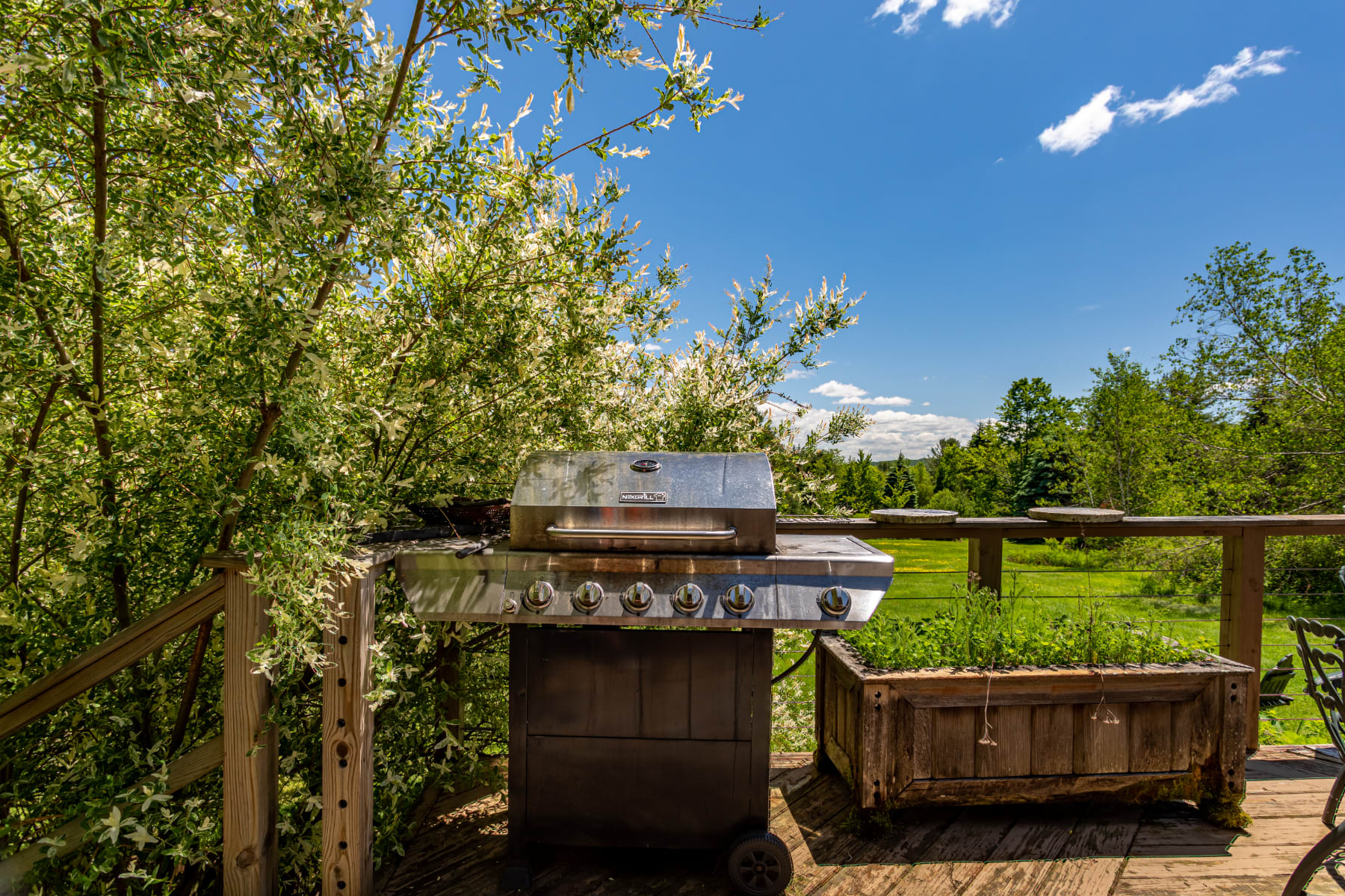 A stainless steel BBQ grill sits on a wooden deck, surrounded by lush green foliage and overlooking a spacious yard. The bright blue sky with white clouds is visible above the trees.