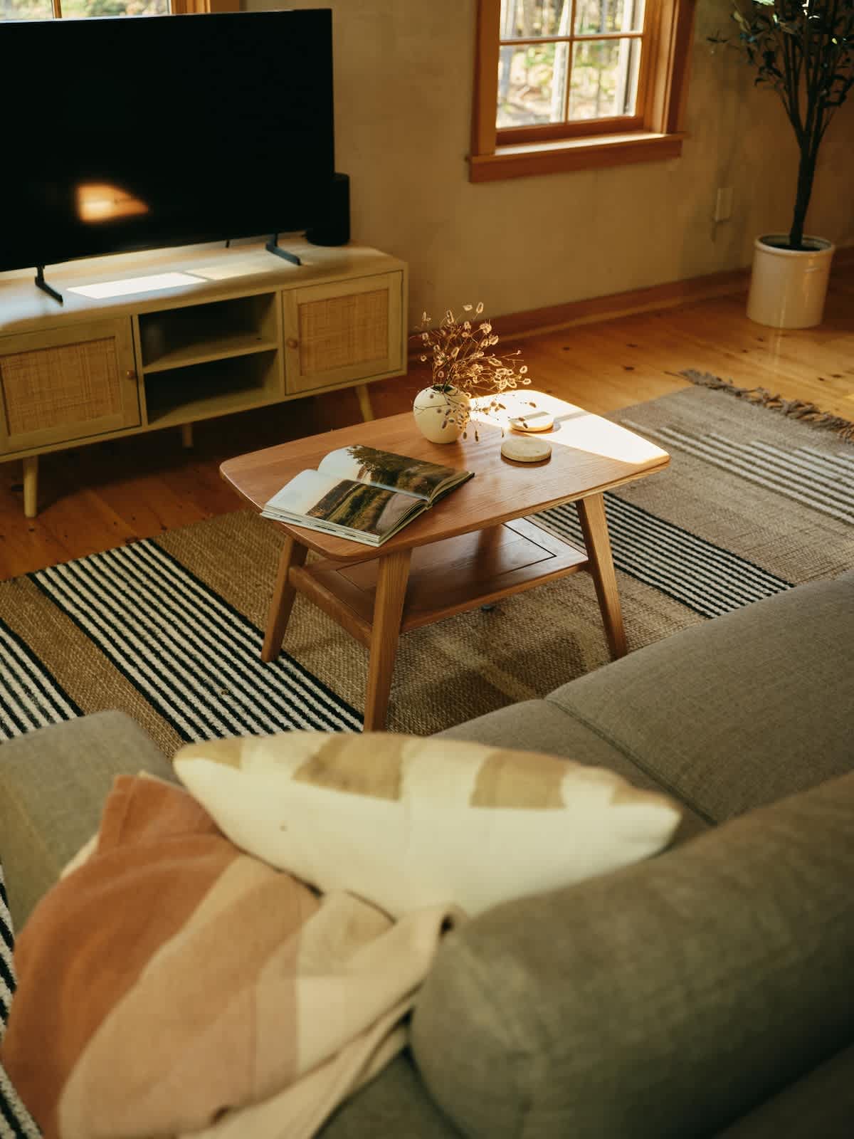The living room features a light gray sofa, a wooden coffee table, and a television on a media console. A striped rug covers the hardwood floor, and a faux olive tree adds a touch of greenery in the background.