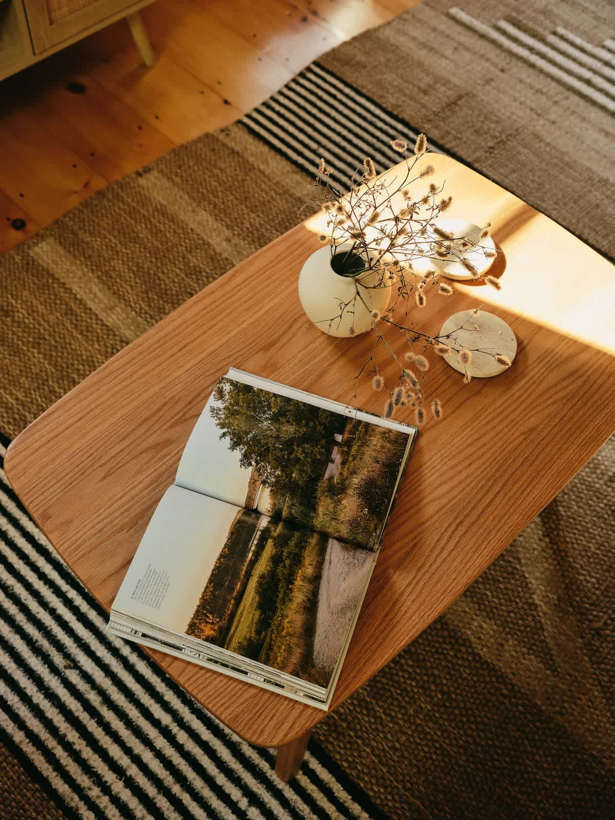 An overhead view captures a wooden coffee table adorned with an open book, a white vase of dried flowers, and coasters. The table rests on a striped rug, bathed in natural light.
