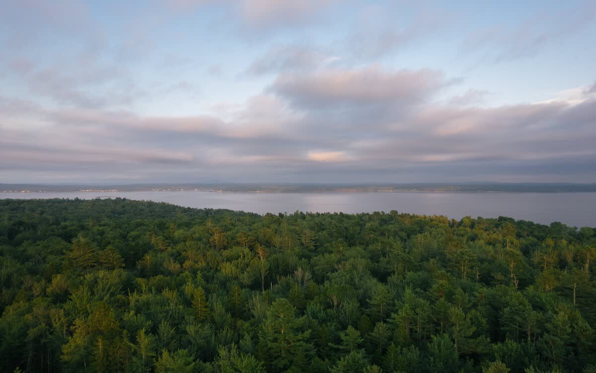 A breathtaking panoramic view captures a vast expanse of lush green forest meeting a serene body of water under a soft, cloudy sky. The distant horizon shows a faint outline of land.