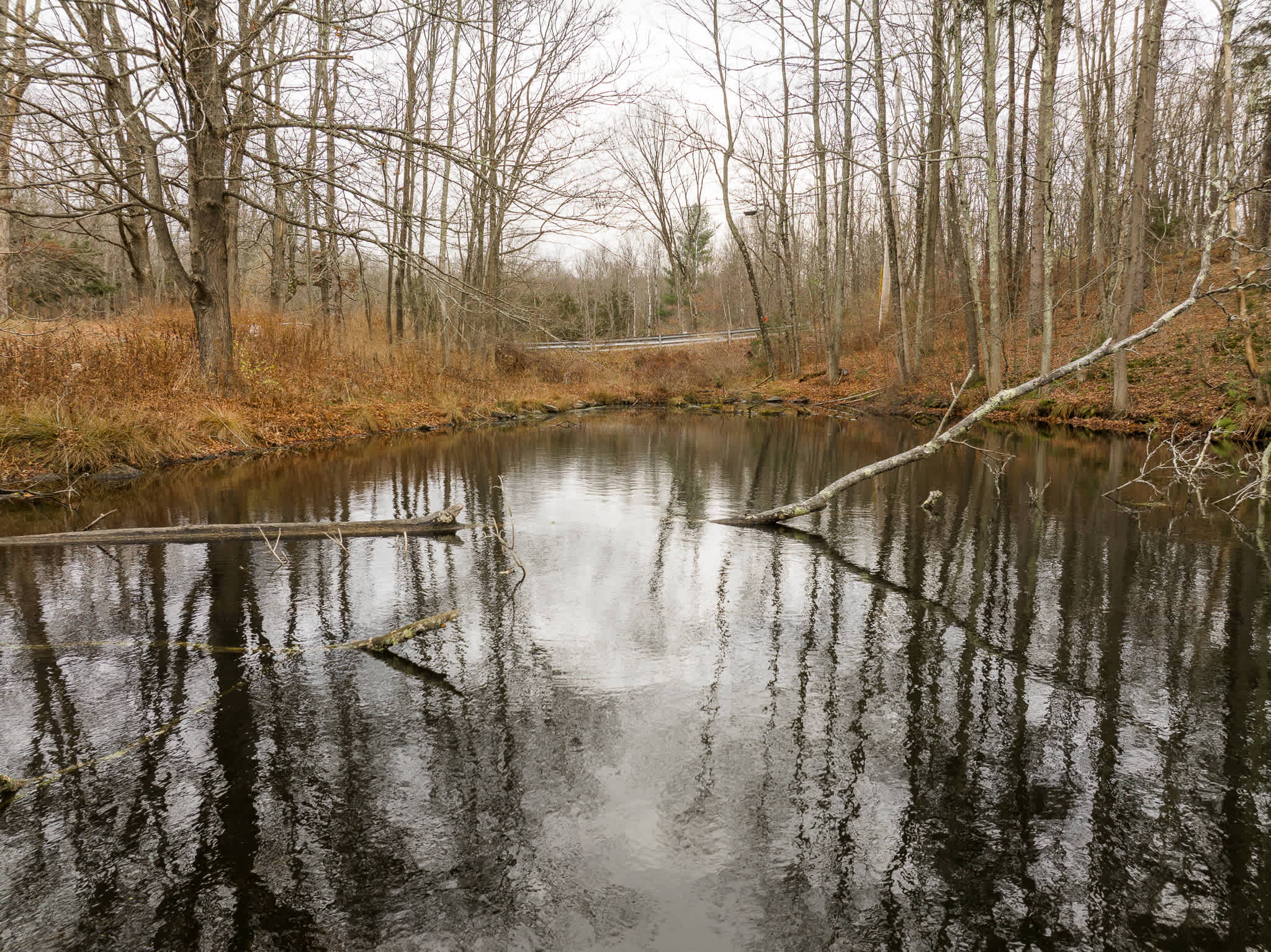 A serene natural landscape featuring a calm, dark pond or stream reflecting the bare trees that line its banks, with a large fallen log extending into the water.