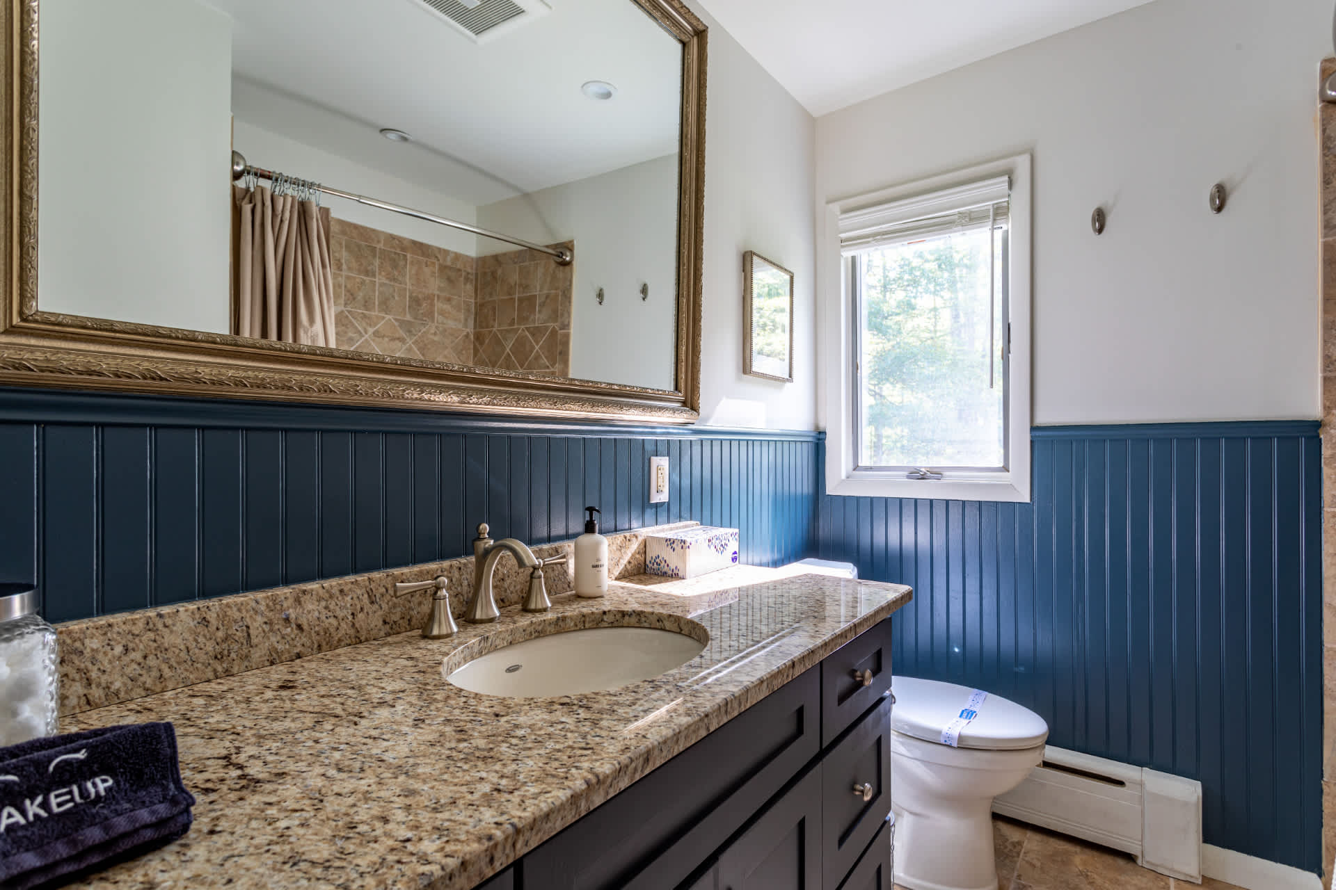 Bathroom with a granite-topped vanity, single sink, and dark blue beadboard wainscoting. A large gold-framed mirror hangs above the vanity, and a window is visible next to the toilet.