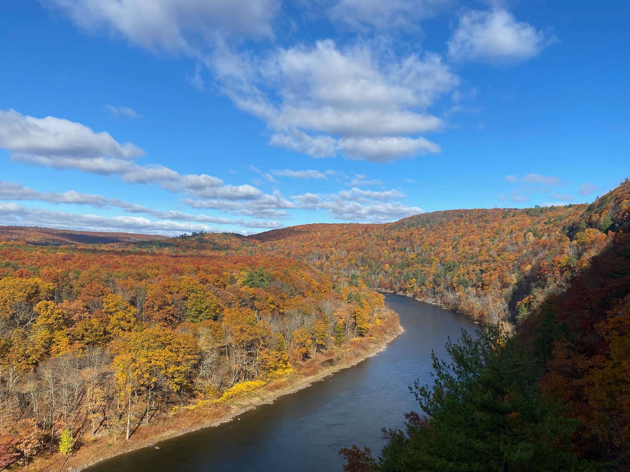 A breathtaking aerial view of a wide, dark river snaking through a deep valley, flanked by rolling hills covered in dense, vibrant orange and yellow autumn foliage under a bright blue sky with scattered white clouds.