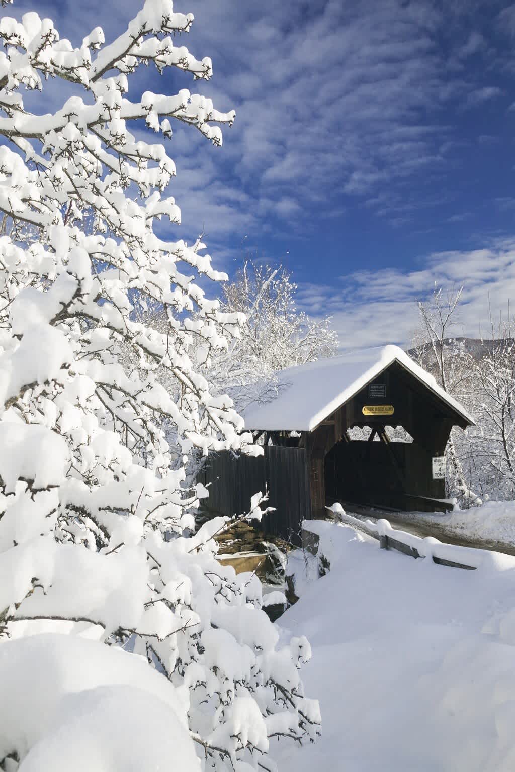 A picturesque wooden covered bridge is blanketed in fresh snow under a bright blue sky with white clouds. Snow-laden tree branches frame the foreground, creating a serene winter landscape.