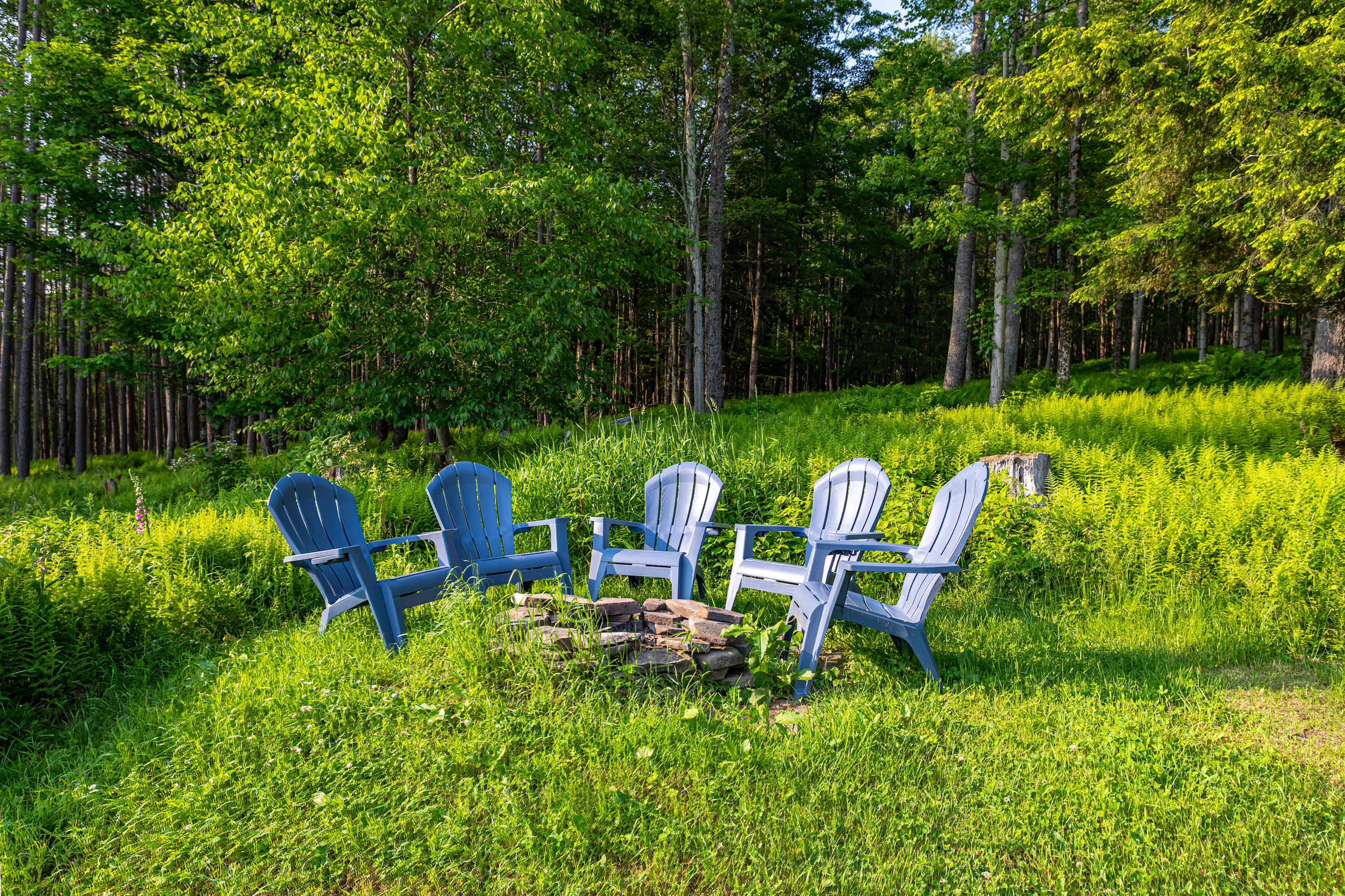 A rustic fire pit area is set in a grassy clearing surrounded by tall trees, featuring five blue Adirondack chairs arranged in a circle around a stone fire pit, perfect for evening gatherings.