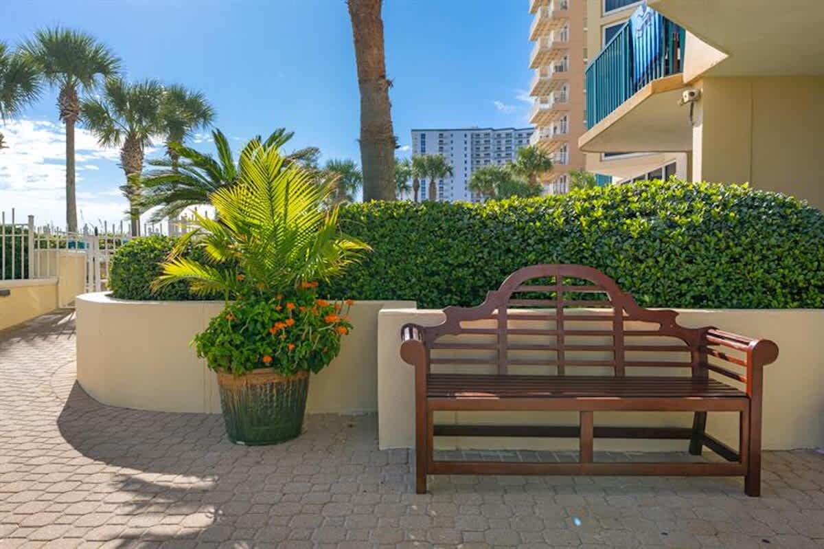 A paved outdoor area features a decorative wooden bench next to a large potted plant with orange flowers, surrounded by manicured green hedges. A multi-story building and palm trees are visible in the sunny background.
