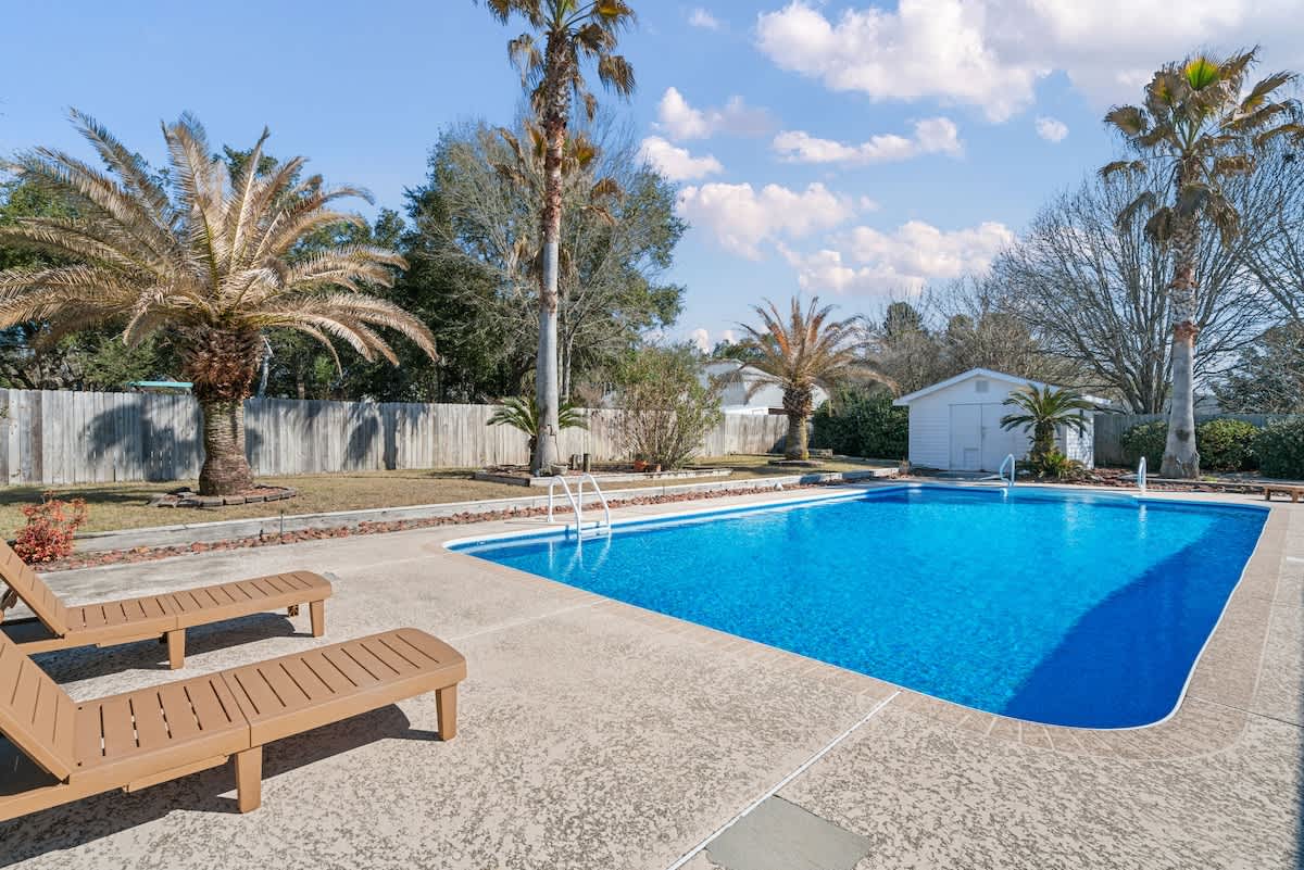 A bright blue rectangular swimming pool in a sunny backyard, surrounded by concrete decking and several palm trees, with two light brown lounge chairs positioned poolside. A small white shed is visible in the background.