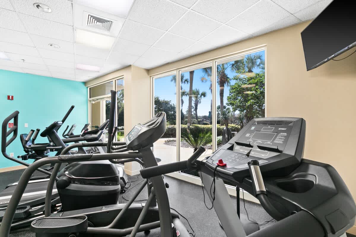 A close-up view of the fitness room showing several treadmills and elliptical machines, with large windows revealing palm trees and outdoor scenery. The room features a light blue accent wall and a mounted flat-screen TV.