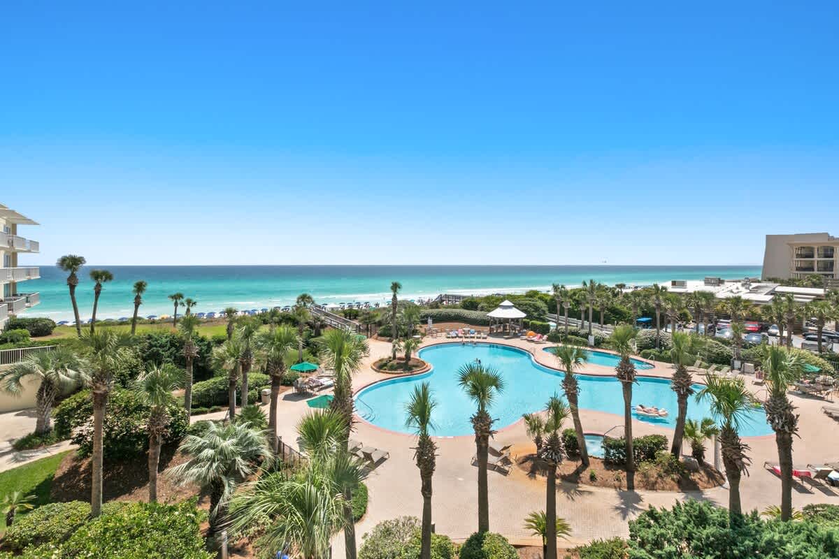 A vibrant outdoor pool area features a large, freeform swimming pool surrounded by numerous tall palm trees and lounge chairs, offering a stunning view of the turquoise ocean in the background.