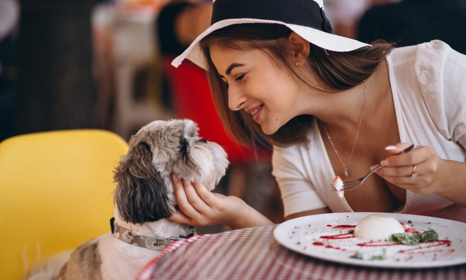 5 Dog-friendly Restaurants in Philadelphia