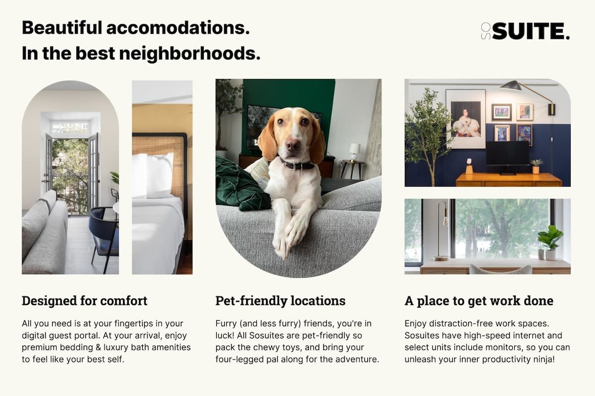Marketing collage highlighting property features such as comfortable design, pet-friendly accommodations with a dog on a sofa, and a dedicated workspace with a desk and monitor.
