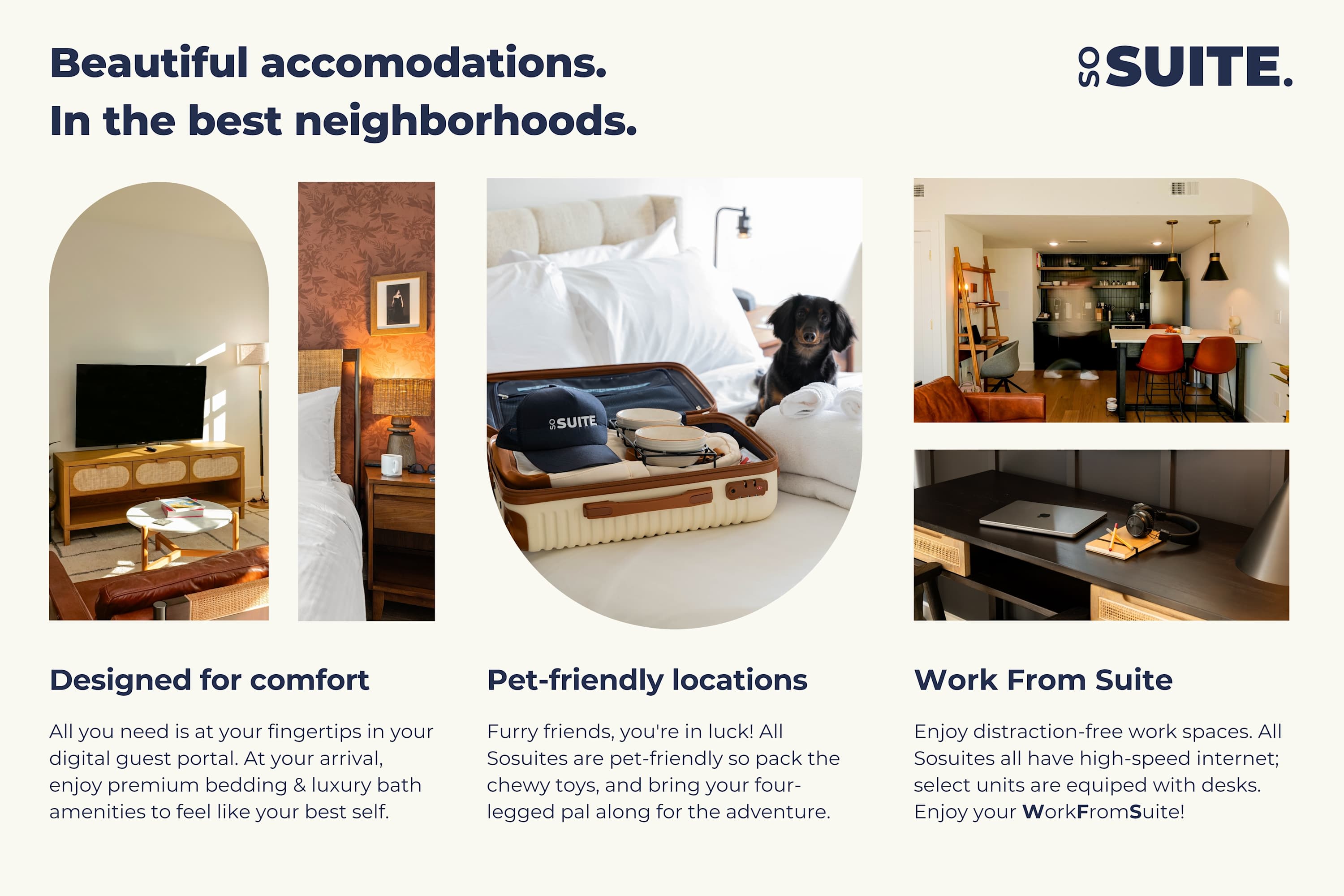 A marketing collage showcasing property features including a comfortable bedroom, a pet-friendly setup with a dog in a suitcase, and a workspace with a laptop, highlighting comfort, pet-friendliness, and work-from-suite options.