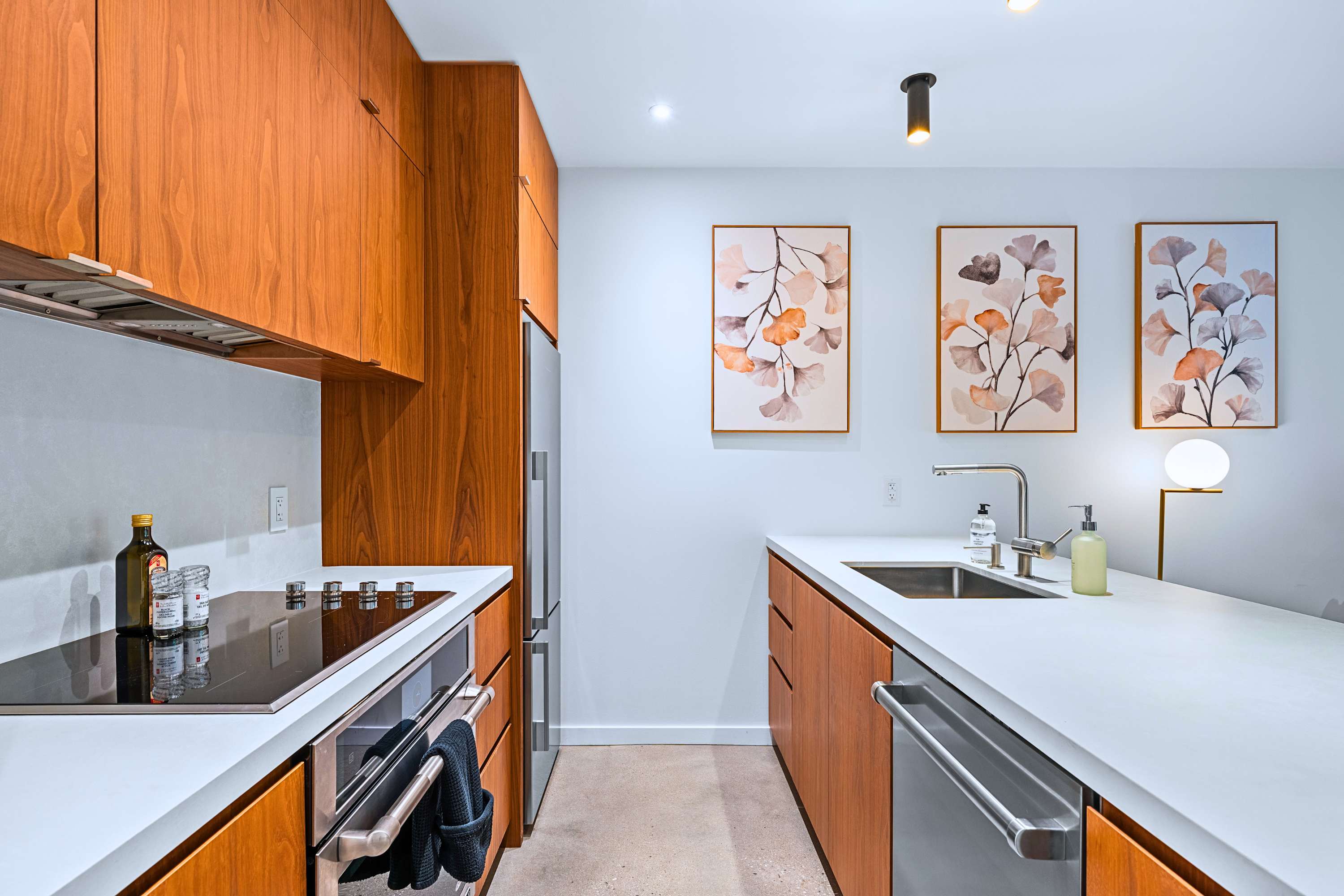 High End Basement Suite with Patio near High Park, photo 12 of 22