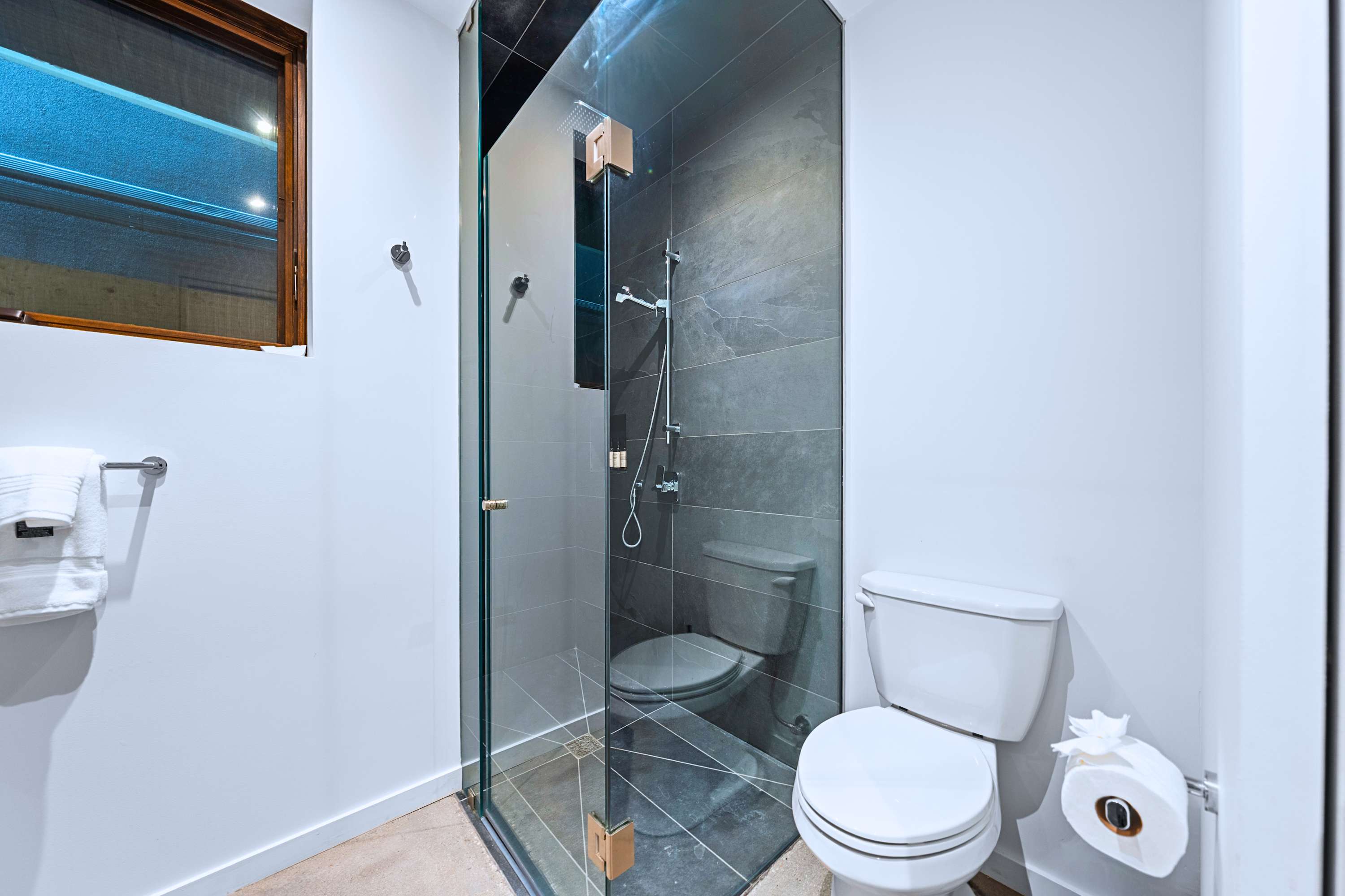 High End Basement Suite with Patio near High Park, photo 17 of 22