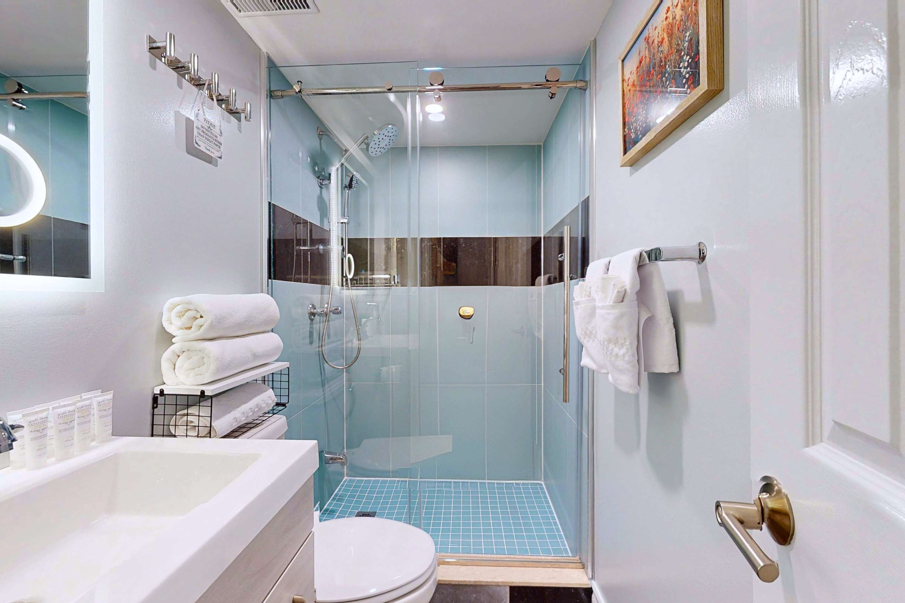 New & Modern Basement Suite, photo 13 of 14
