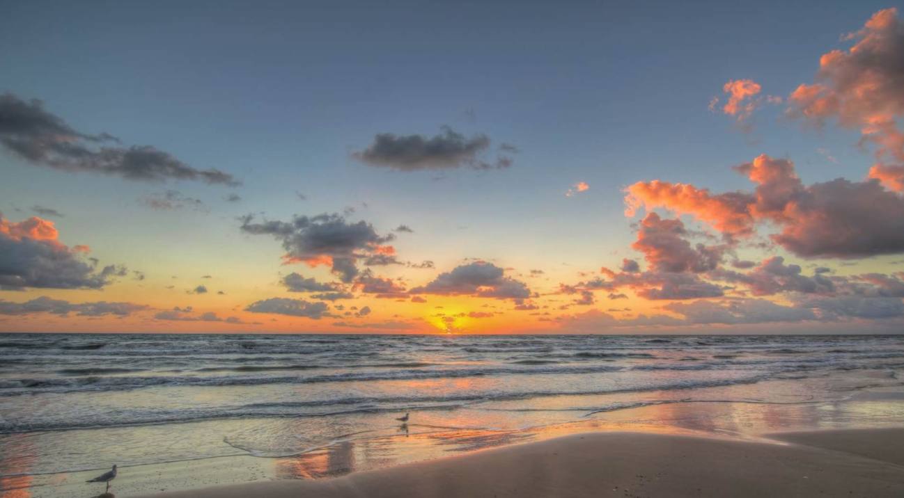 A breathtaking sunset over the ocean, painting the sky with vibrant orange, pink, and blue hues, reflected beautifully on the wet sandy beach. Gentle waves lap at the shore, where two seagulls stand peacefully, enhancing the serene waterfront scene.