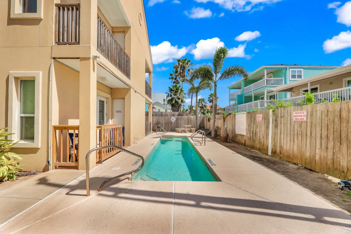 Narrow outdoor swimming pool surrounded by a concrete deck and a wooden fence, located next to the building, with palm trees visible in the background under a bright blue sky.