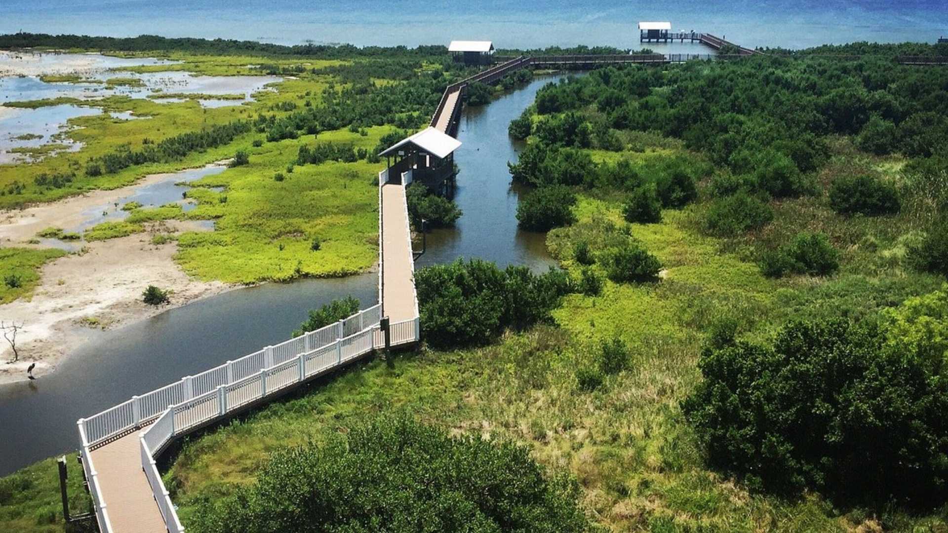 A scenic wooden boardwalk meanders through a vibrant green wetland ecosystem, featuring covered viewing platforms over tranquil waterways. The distant ocean or bay is visible, suggesting a coastal nature preserve.