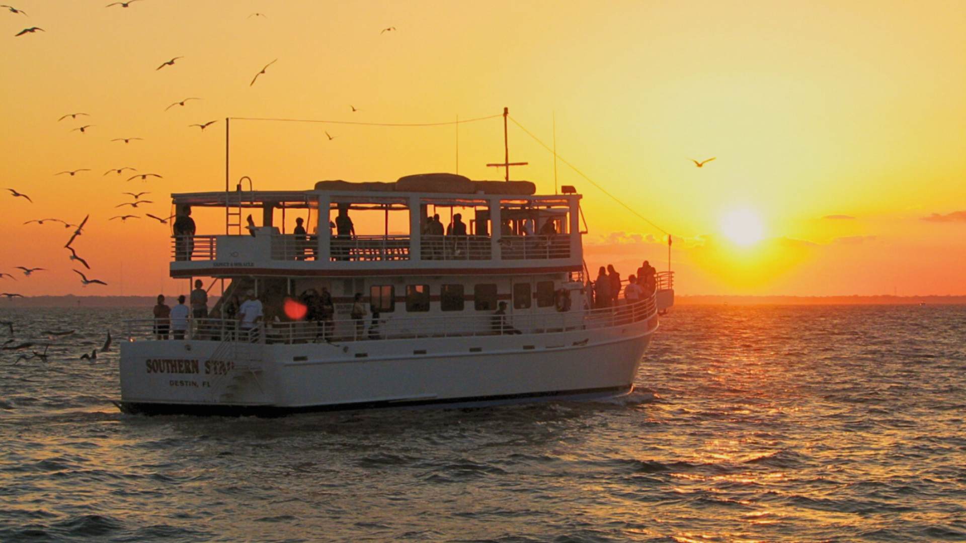 A large, multi-deck passenger boat named "Southern Star" cruises on the water during a spectacular sunset, with the sky ablaze in orange and yellow. Numerous birds fly around the boat, adding to the scenic view.
