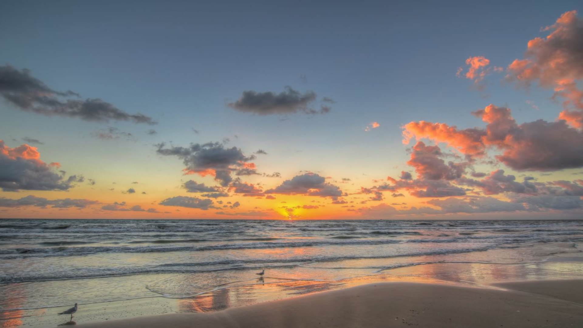 A breathtaking sunset over a calm ocean, painting the sky with vivid orange, pink, and purple hues that reflect beautifully on the wet sandy beach and gentle waves. Two seagulls stand peacefully near the water's edge.