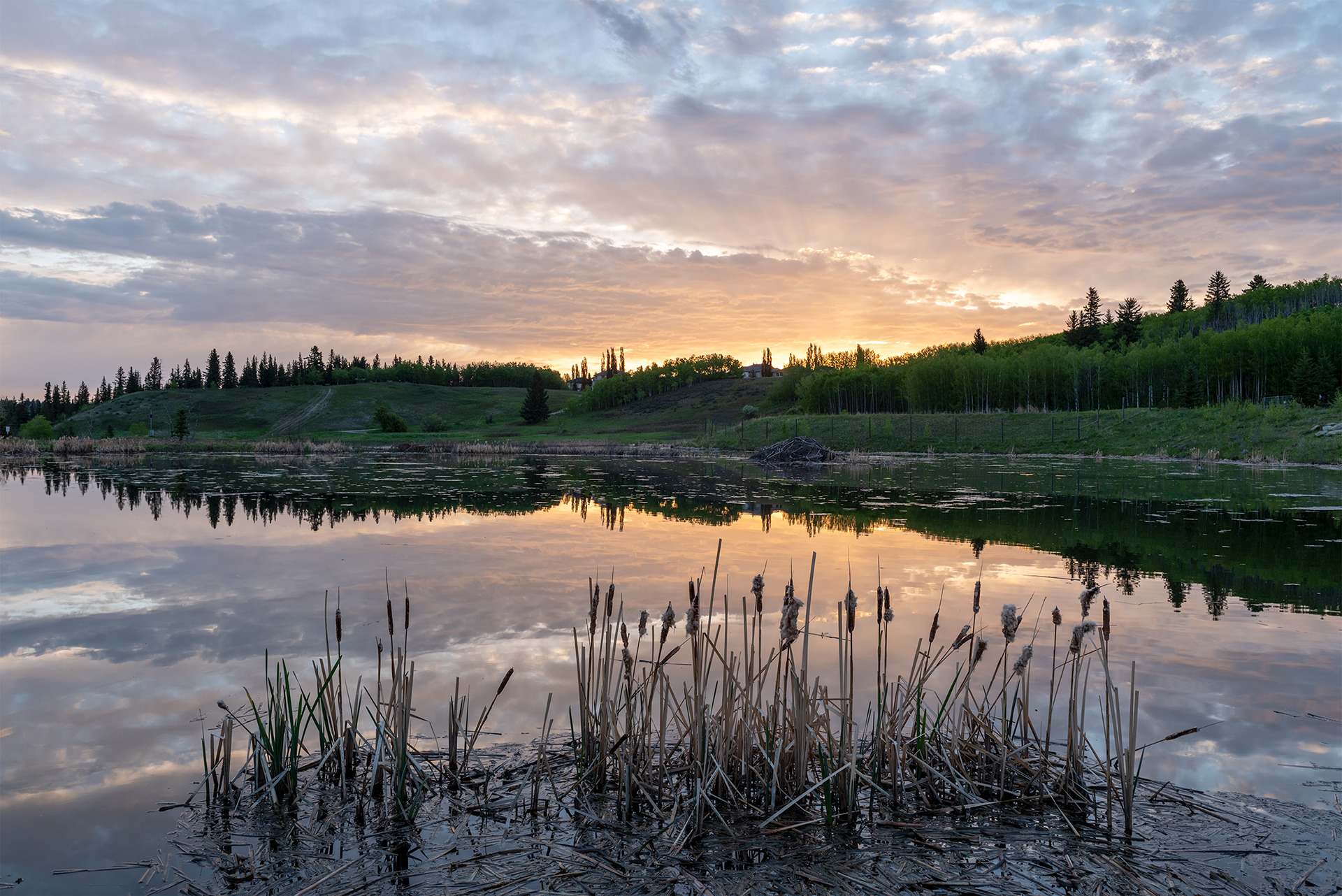 A serene lake scene at sunset, with a colorful sky reflected on the calm water. Reeds and cattails are prominent in the foreground, and a treeline borders the distant shore under a cloudy sky.