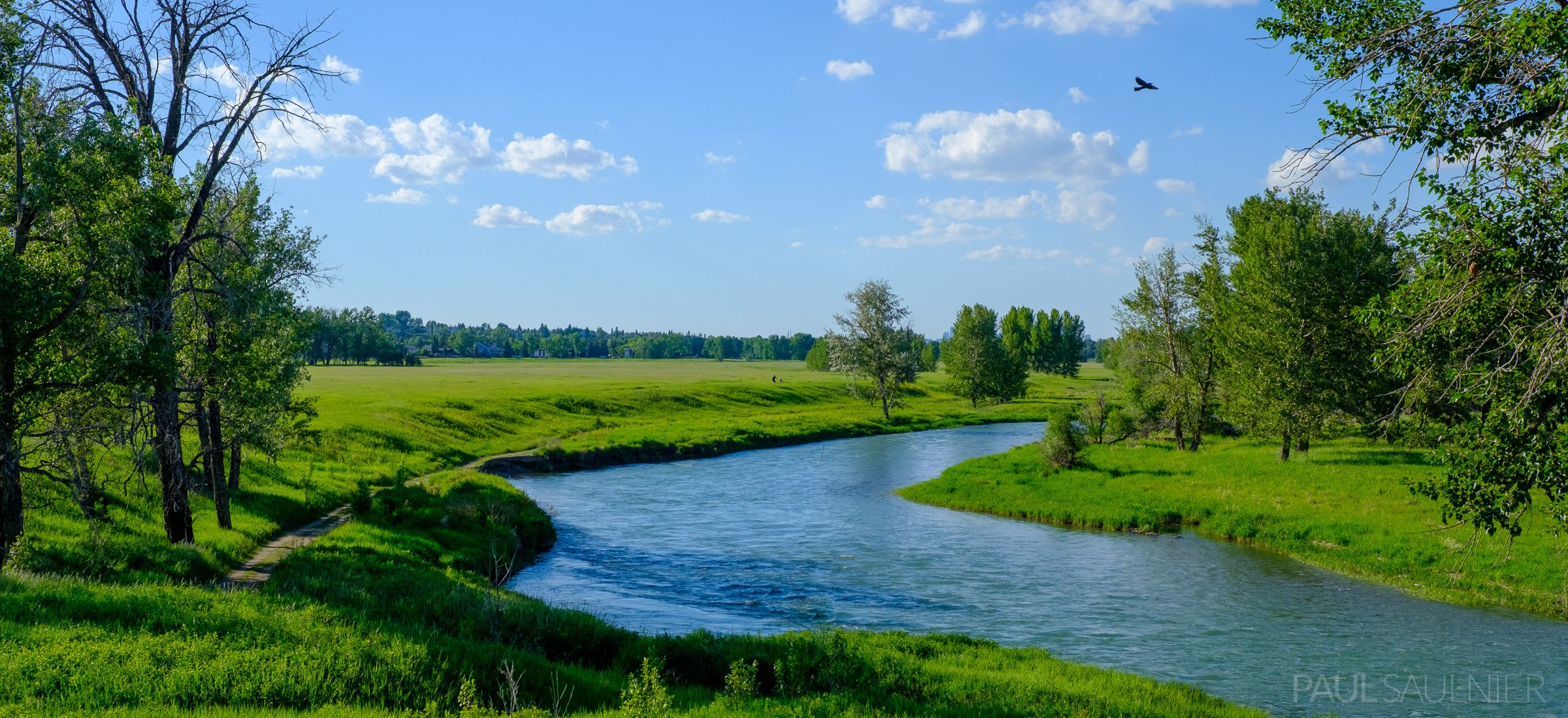 A scenic outdoor view of a winding river flowing through a lush green valley with scattered trees under a bright blue sky with white clouds.