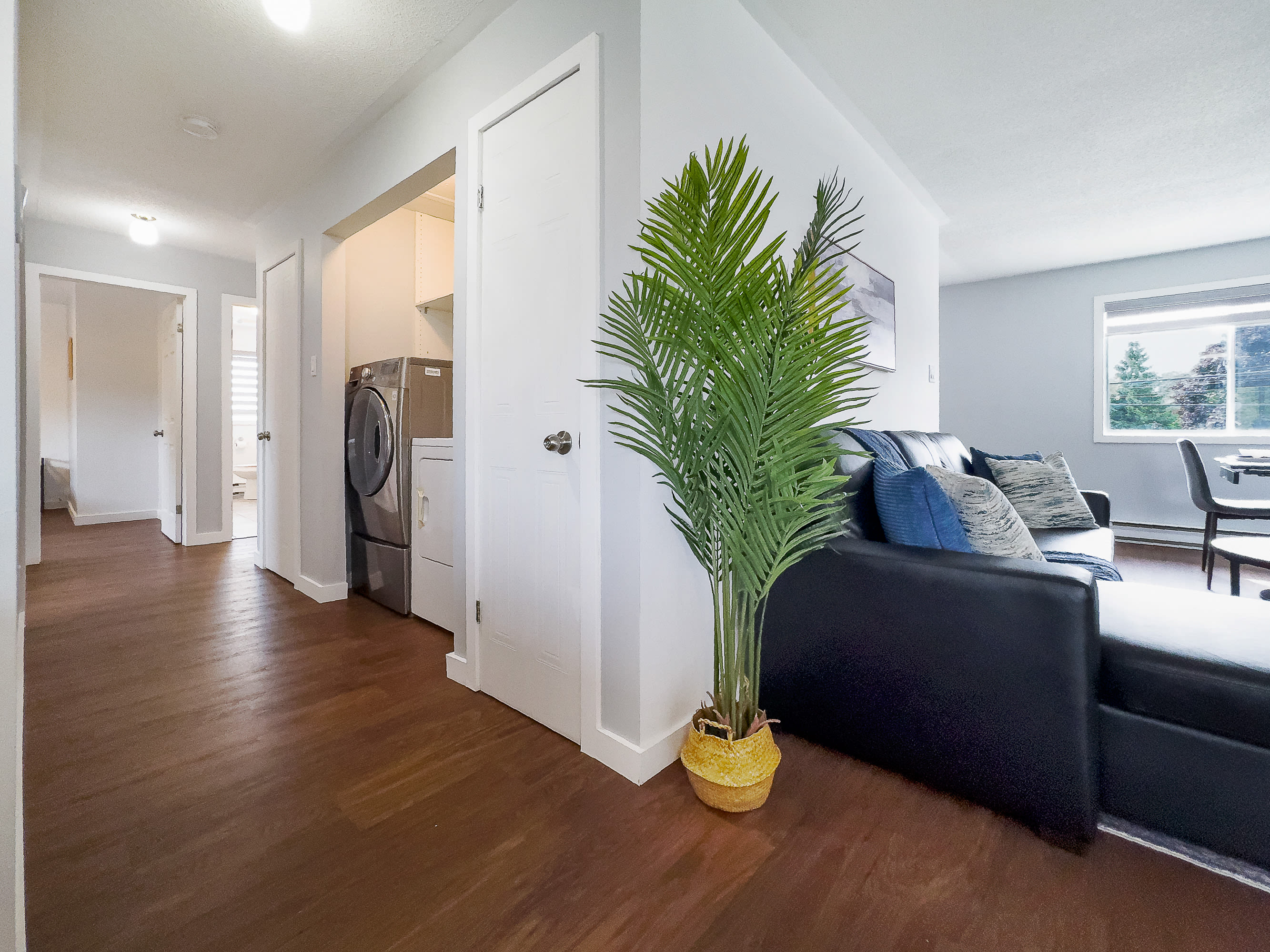A hallway area featuring a stacked washer and dryer unit within a closet, adjacent to a dark leather sofa. Dark hardwood floors extend throughout the space, with a decorative plant adding a touch of greenery.