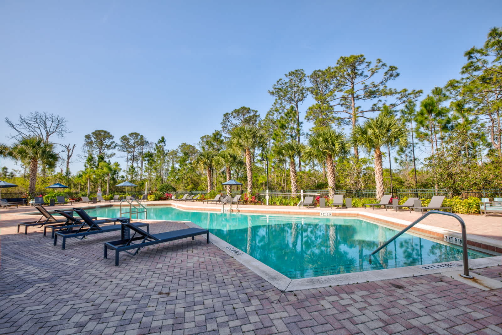 A large outdoor swimming pool with clear blue water, surrounded by a red brick paver deck and numerous dark lounge chairs. Tall pine and palm trees line the perimeter under a bright blue sky, creating a relaxing resort-like atmosphere.