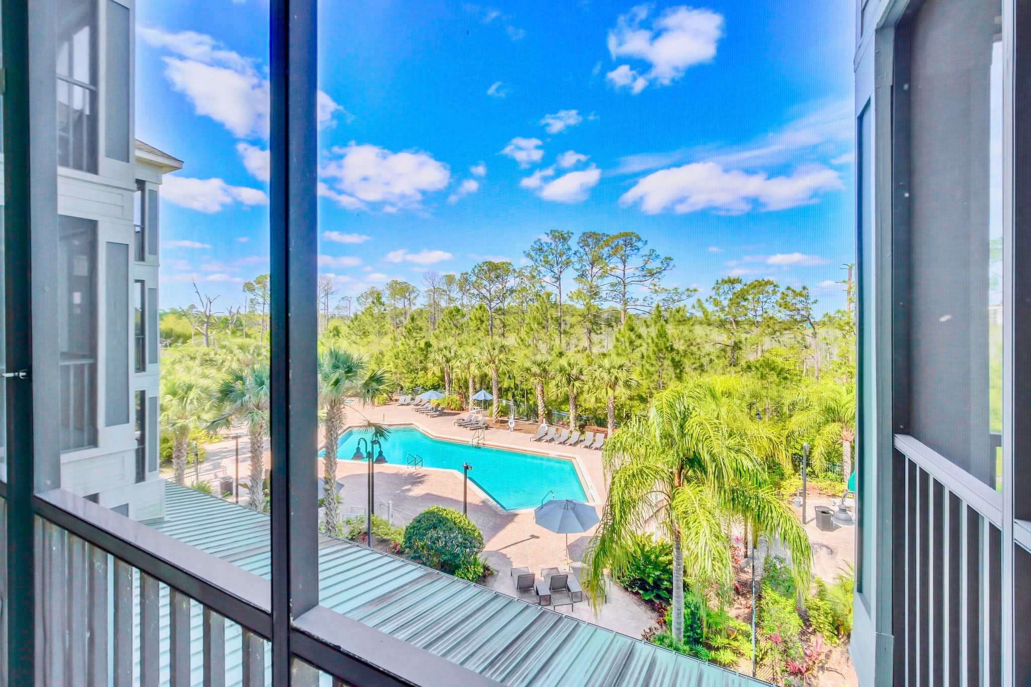Panoramic view of a large outdoor communal swimming pool with lounge chairs and umbrellas, surrounded by palm trees and lush green foliage under a bright blue sky.