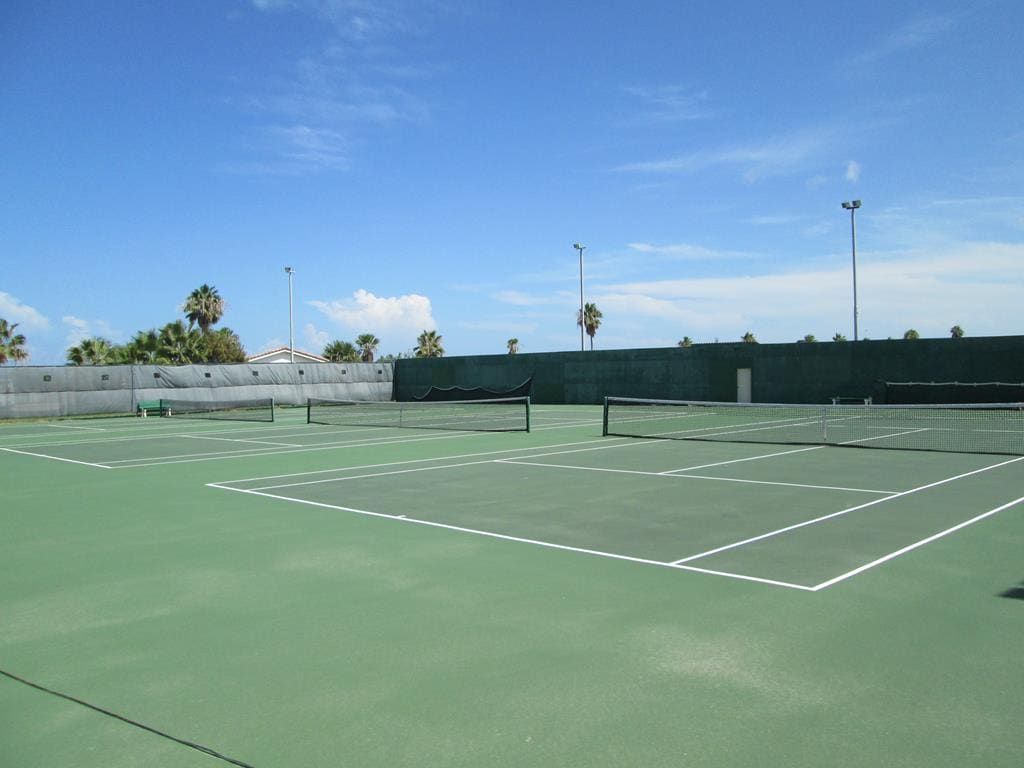 Two side-by-side outdoor tennis courts with green surfaces and white lines, surrounded by a dark green fence and tall palm trees under a clear blue sky.
