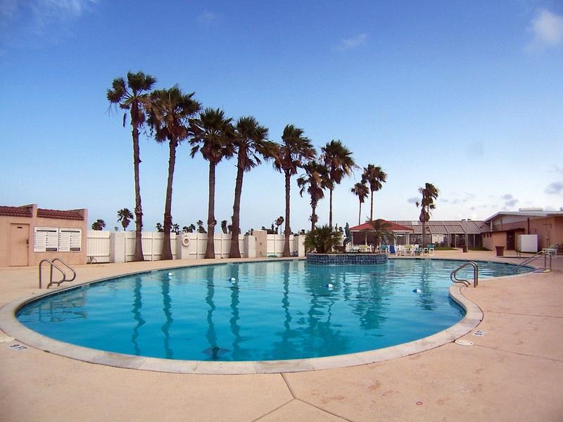 A large, kidney-shaped outdoor swimming pool with clear blue water, surrounded by a light-colored concrete deck and a row of tall palm trees under a bright blue sky.