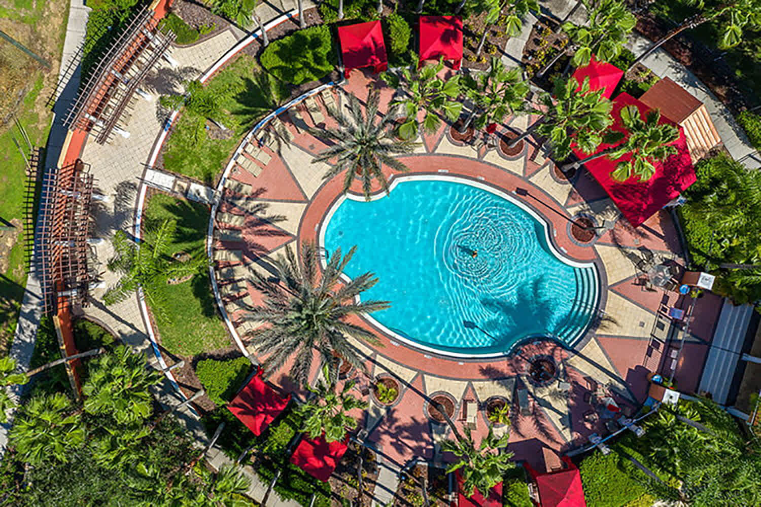 Aerial view of a large, irregularly shaped communal swimming pool with vibrant blue water, surrounded by a paved deck, red umbrellas, lounge chairs, and numerous tall palm trees. A person is visible swimming in the pool, creating ripples on the surface.