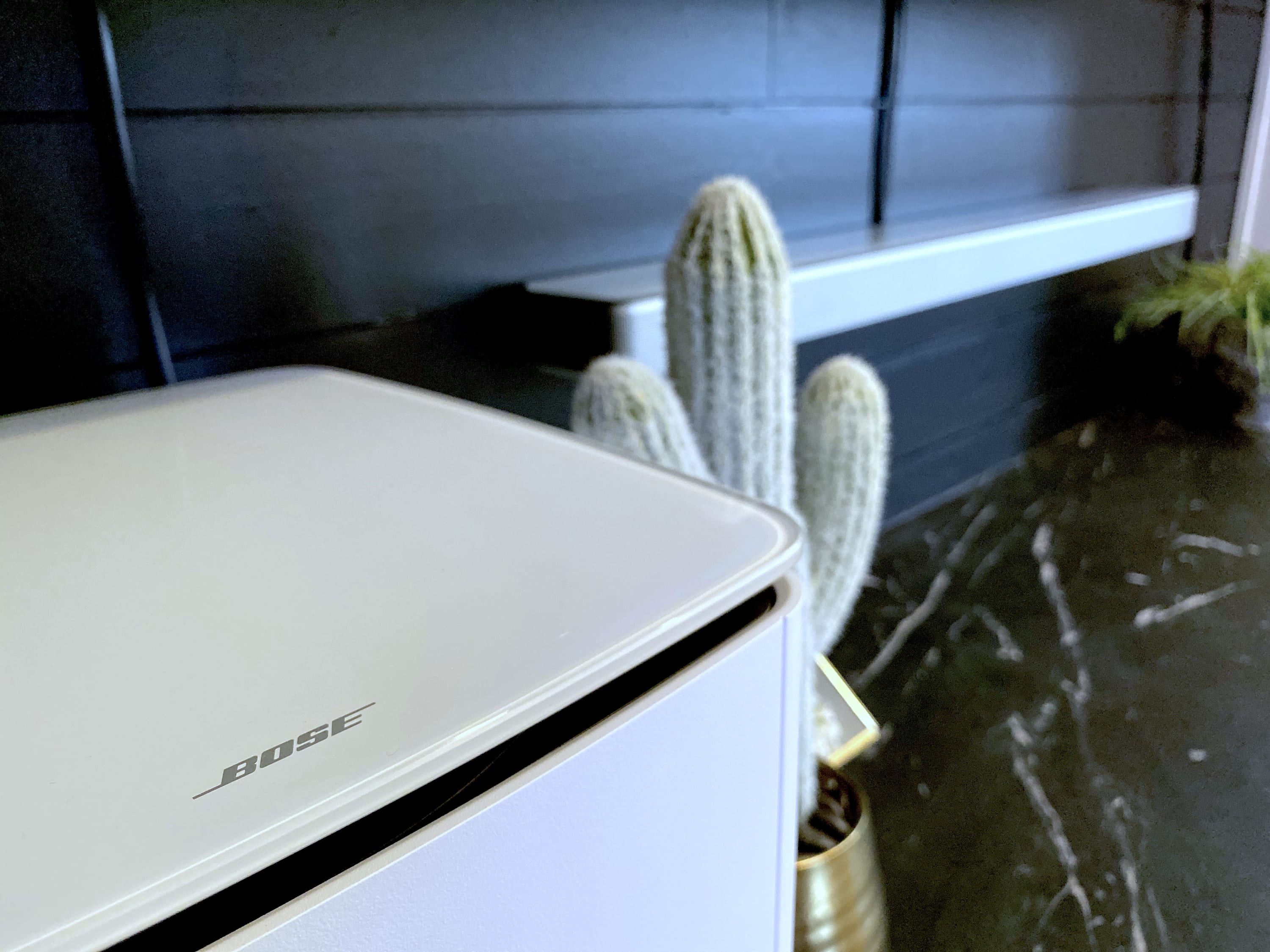 A close-up detail shot shows a white Bose speaker next to a tall, light green cactus in a gold pot, set against a dark wall with a white shelf.