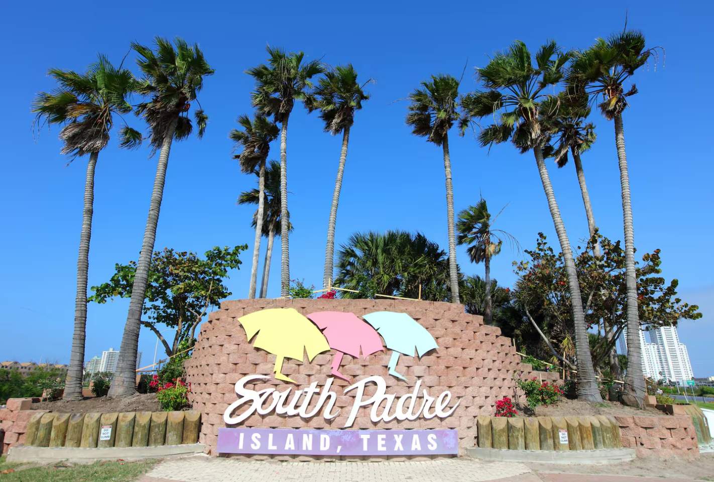 The "South Padre Island, Texas" welcome sign, featuring colorful umbrella graphics, is set against a backdrop of tall palm trees and a clear blue sky. The sign is made of textured brick with a stone base.