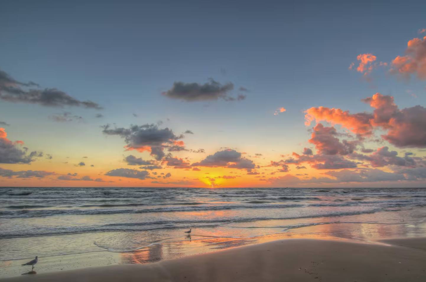 A picturesque beach sunset with vibrant orange and pink clouds reflecting on the wet sand and gentle waves. Two seagulls stand near the water's edge, adding to the tranquil scene.