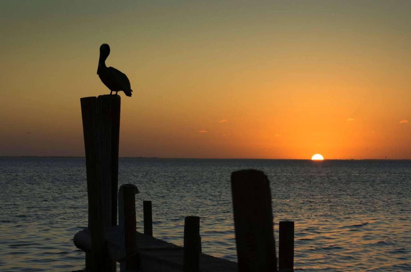 Silhouette of a pelican perched on a wooden pier post against a vibrant orange and yellow sunset over calm water. The sun dips below the horizon, casting a warm glow.