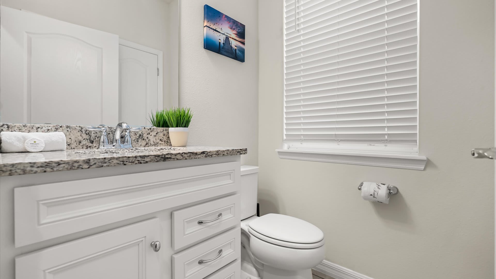 A clean bathroom with a white vanity, granite countertop, and a mirror reflecting a window with white blinds. A white toilet is positioned next to the vanity, with a roll of toilet paper on the wall. A small framed picture hangs above the toilet.