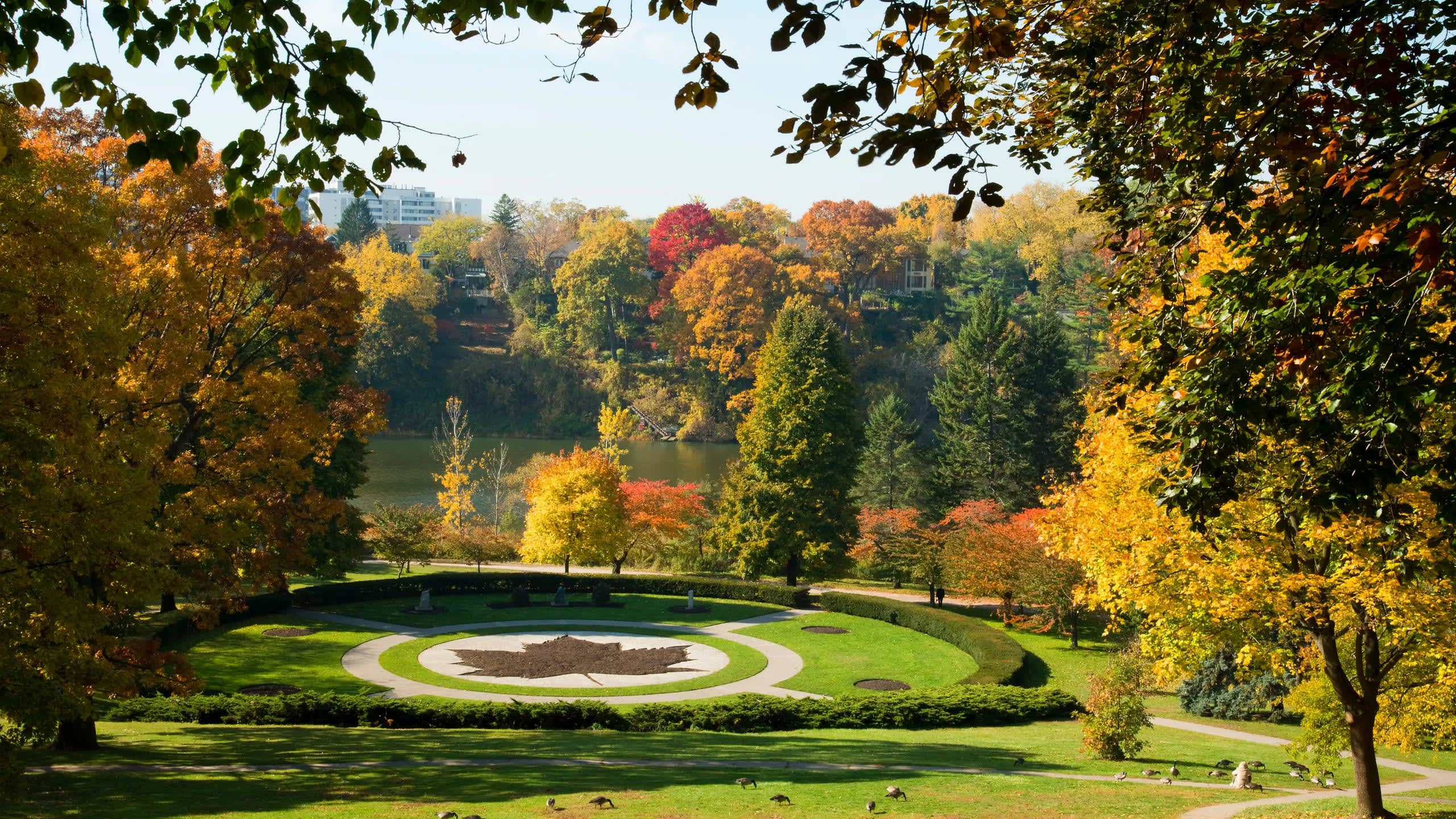 A vibrant autumn landscape view of a park with a large circular lawn featuring a maple leaf design, surrounded by colorful trees in shades of yellow, orange, and red, with a lake visible in the background.