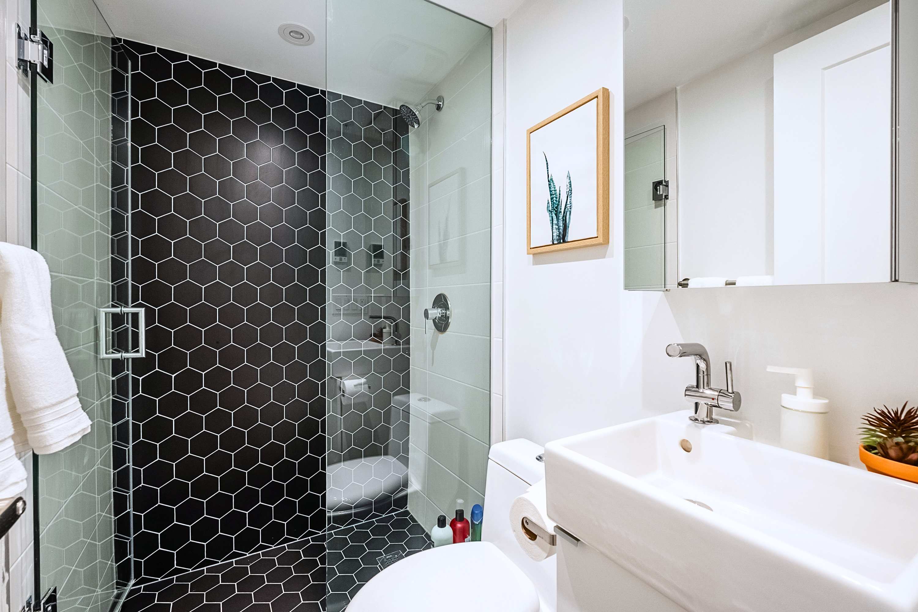 Basement Suite Near High Park & Dundas Subway, photo 5 of 17