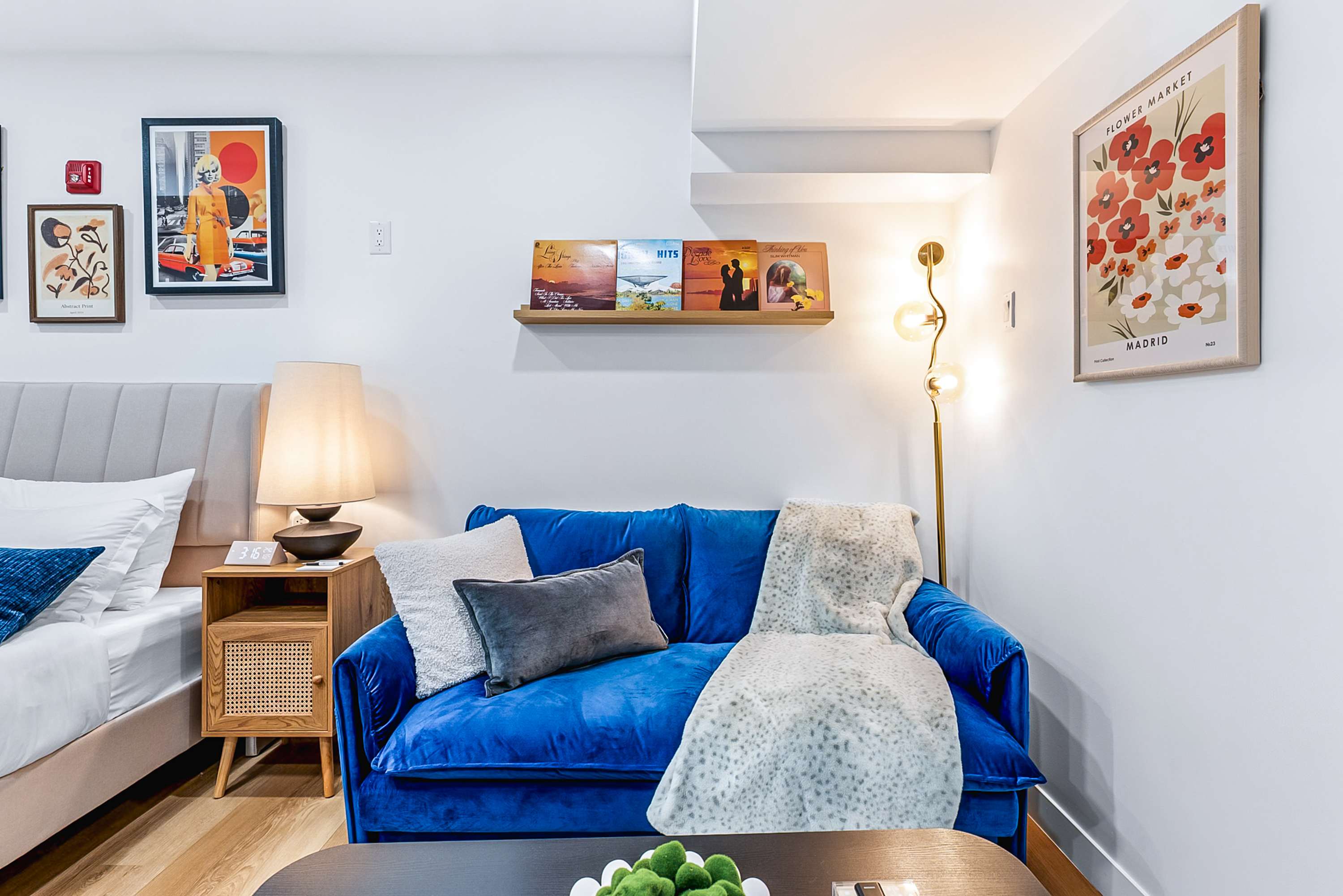A cozy corner of the studio featuring a queen bed with a light grey headboard and blue pillows, adjacent to a blue velvet sofa with a white throw. A wooden nightstand with a lamp sits between the bed and sofa.