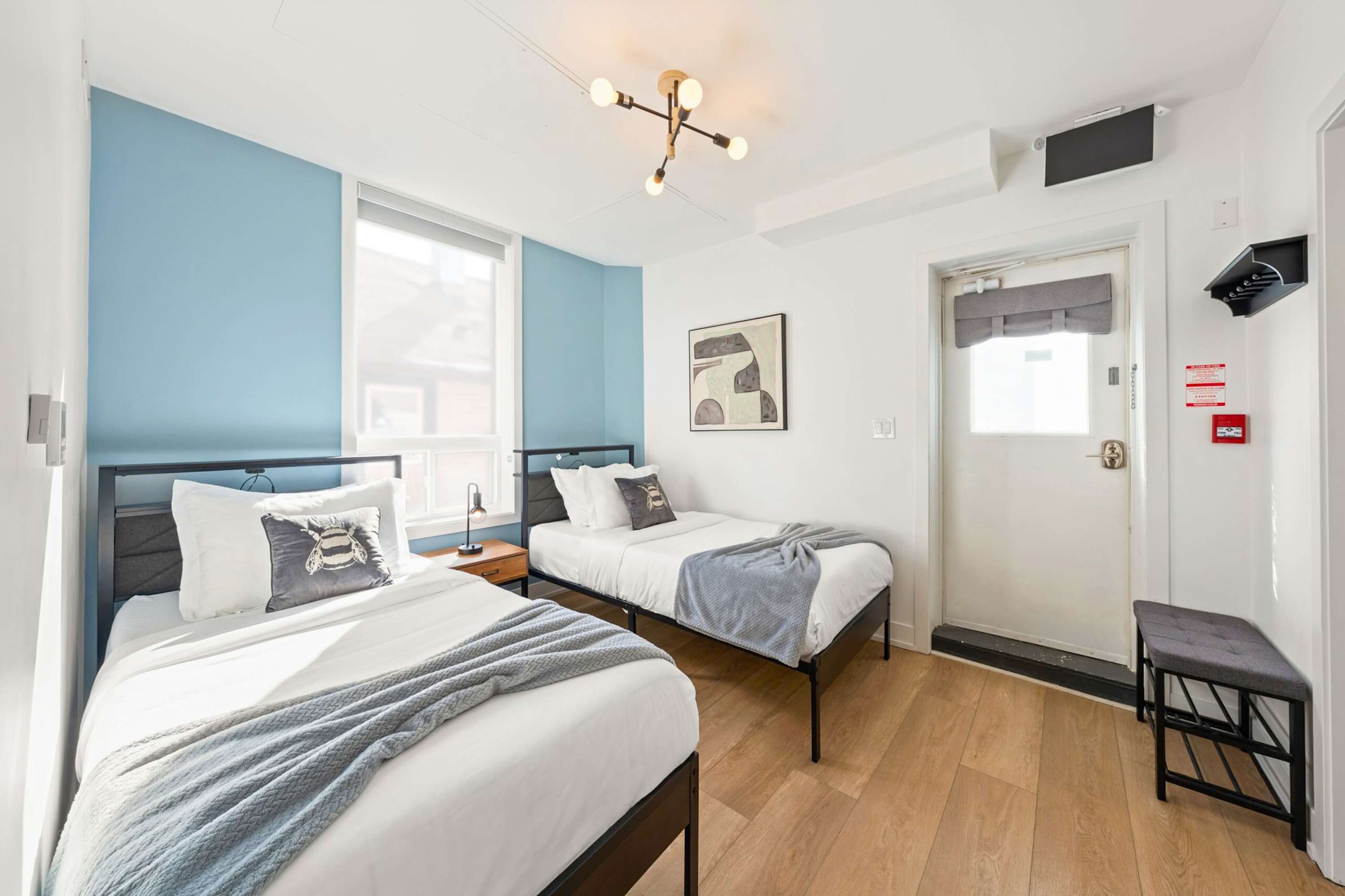 Bright bedroom with a light blue accent wall, two single beds with black metal frames and grey throws, a shared wooden nightstand with a lamp, and light hardwood flooring.